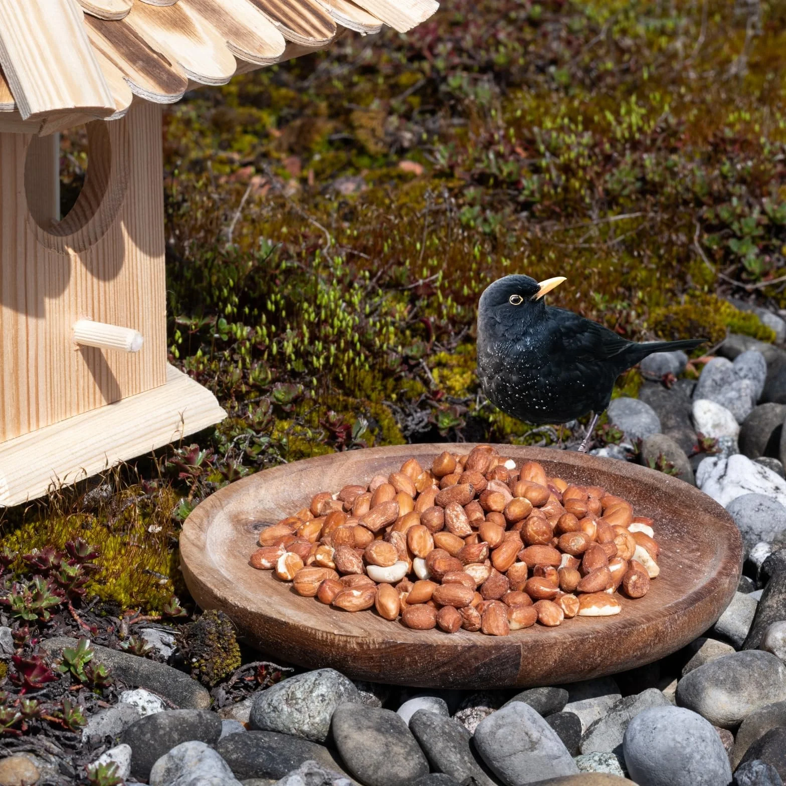 Graines de cacahuètes avec Peau 25 kg pour Oiseaux Sauvages Lyra Pet