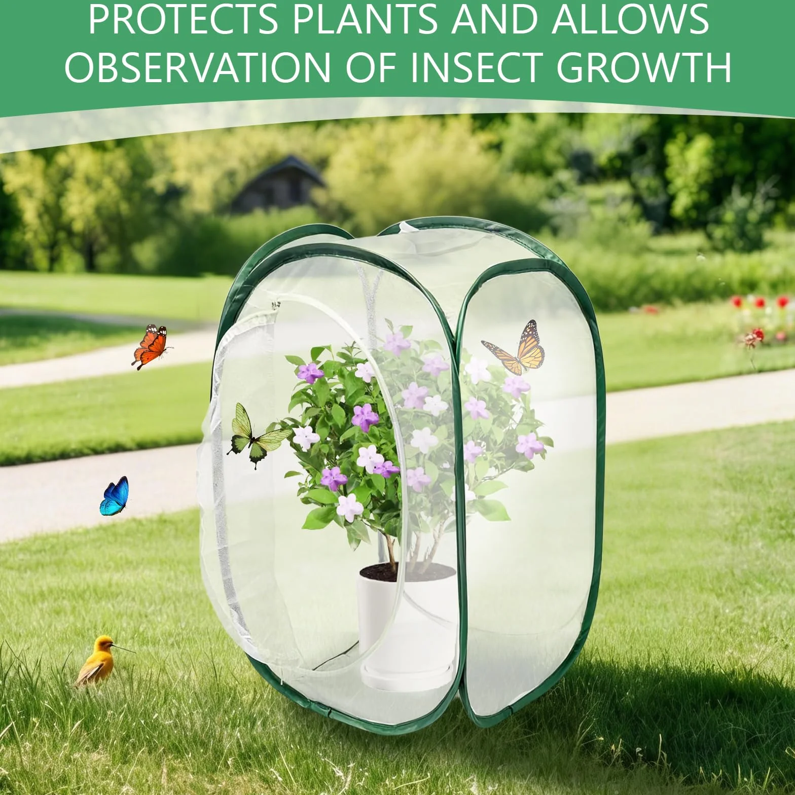 Cage d'habitat pour Insectes et Papillons 40x40x60cm Pliable Maille Protection Plantes Vert