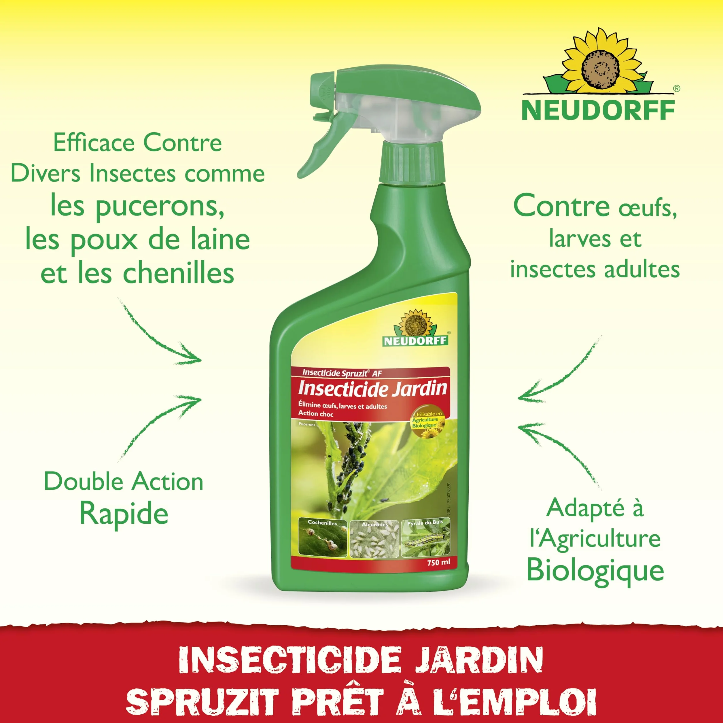Neudorff Spruzit Insecticide Jardin 750 ml - Prêt à l'emploi contre pucerons, cochenilles et ravageurs
