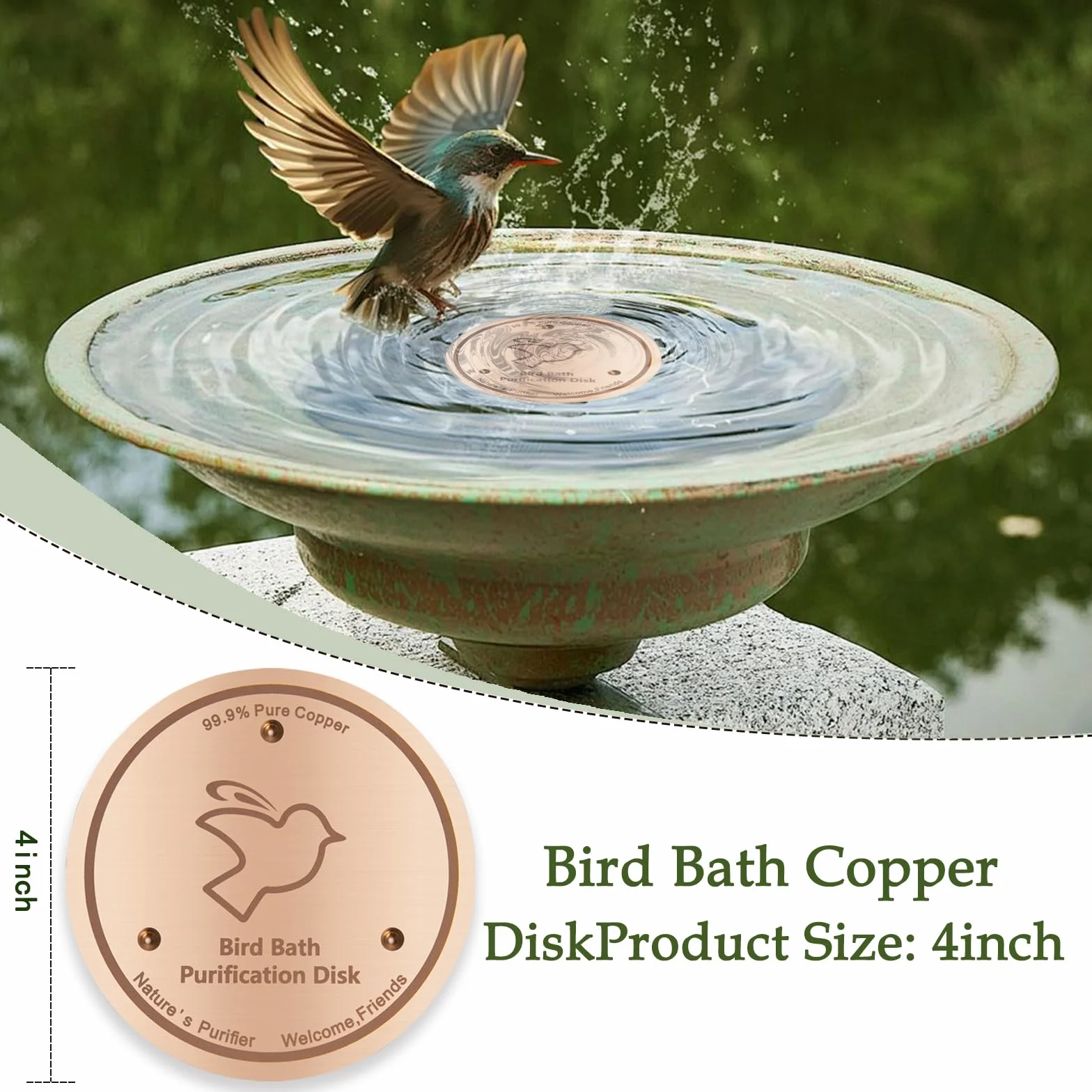 Disque de purification en cuivre 99,9% pur 0,6 mm épaisseur autonettoyant pour bain d'oiseaux