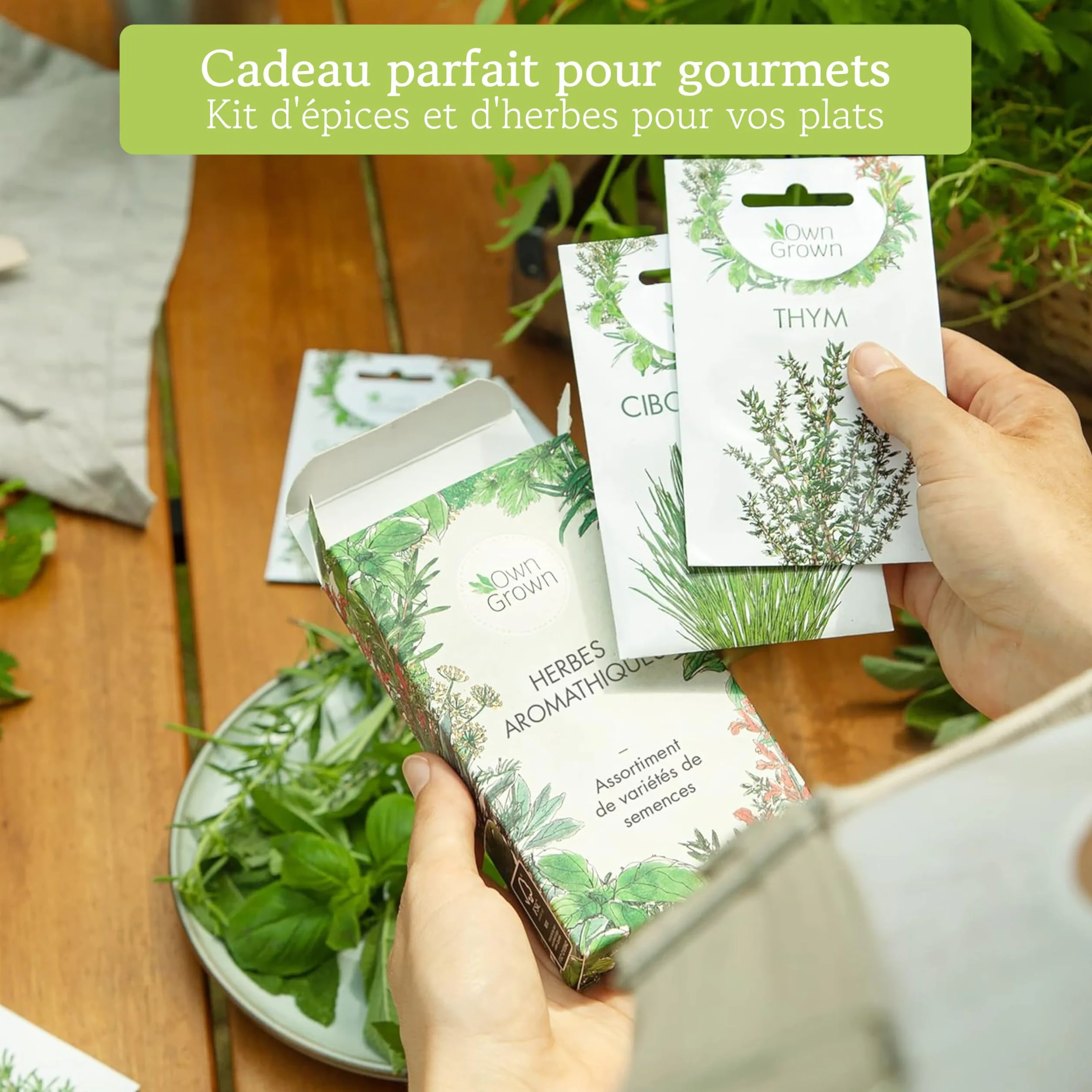 OwnGrown Kit de graines d'Herbes aromatiques, 12 épices et aromates, pour culture intérieure et extérieure