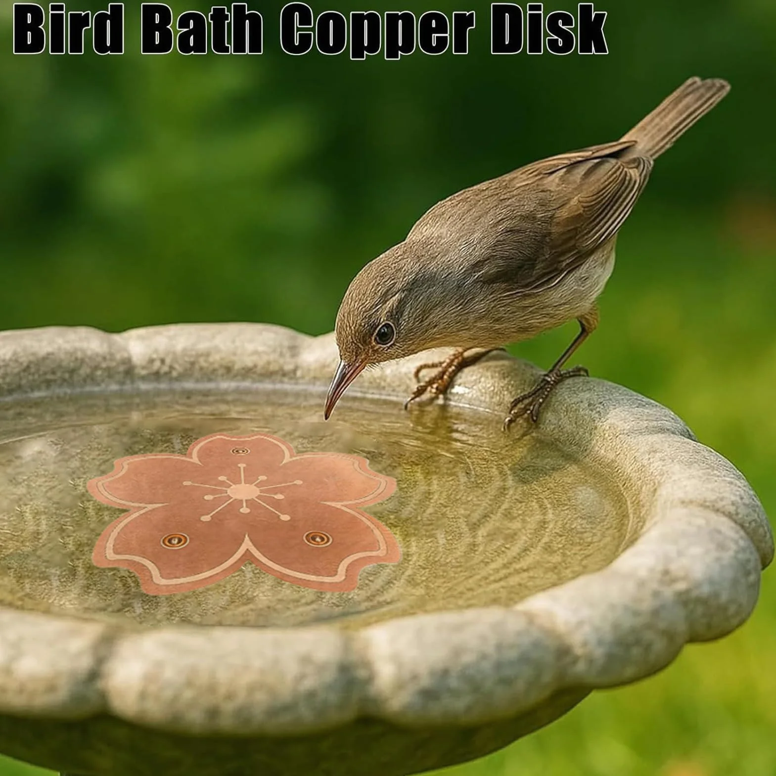 Disque de Purification Cuivre Triple Point pour Bain d'Oiseaux Accessoire Jardin