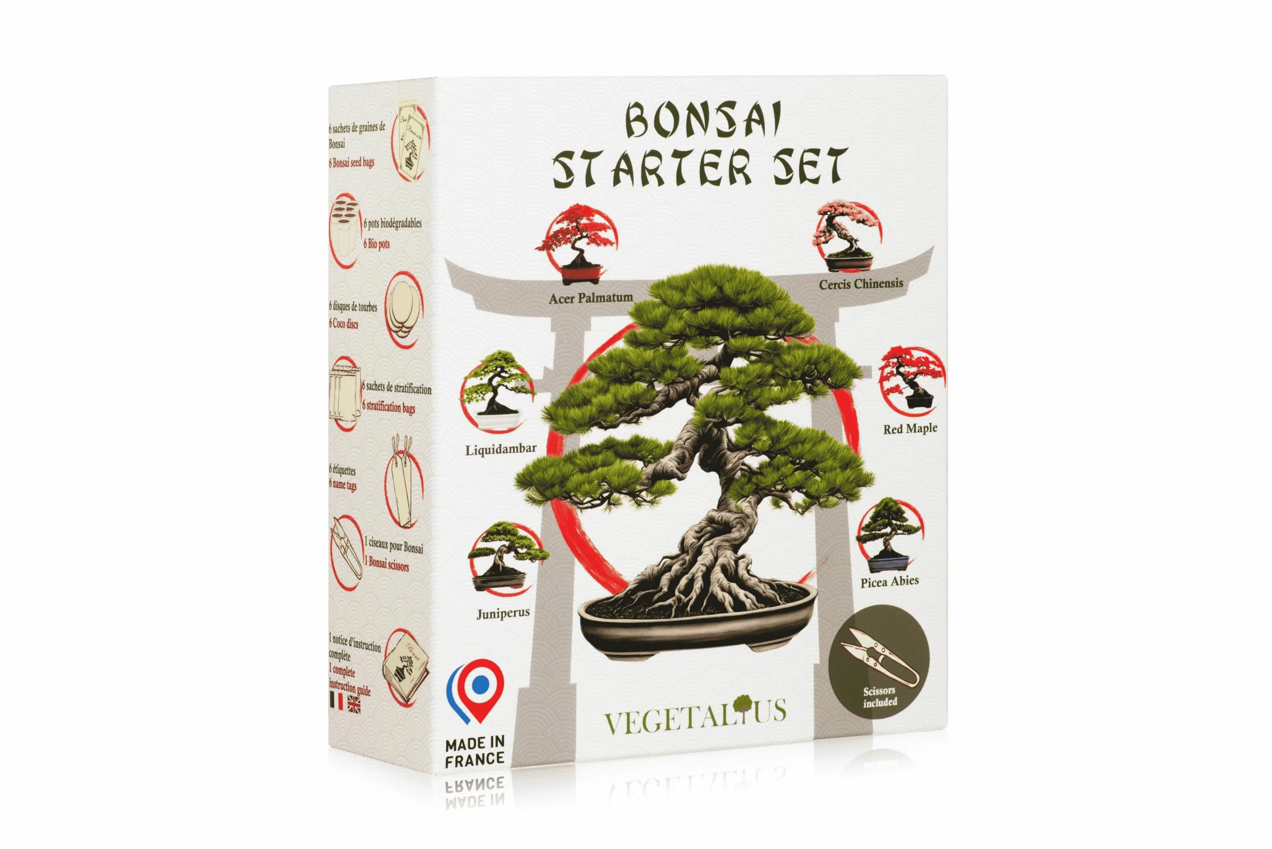 Kit complet de 6 Bonsai avec graines et accessoires Fabriqué en France Coffret cadeau original