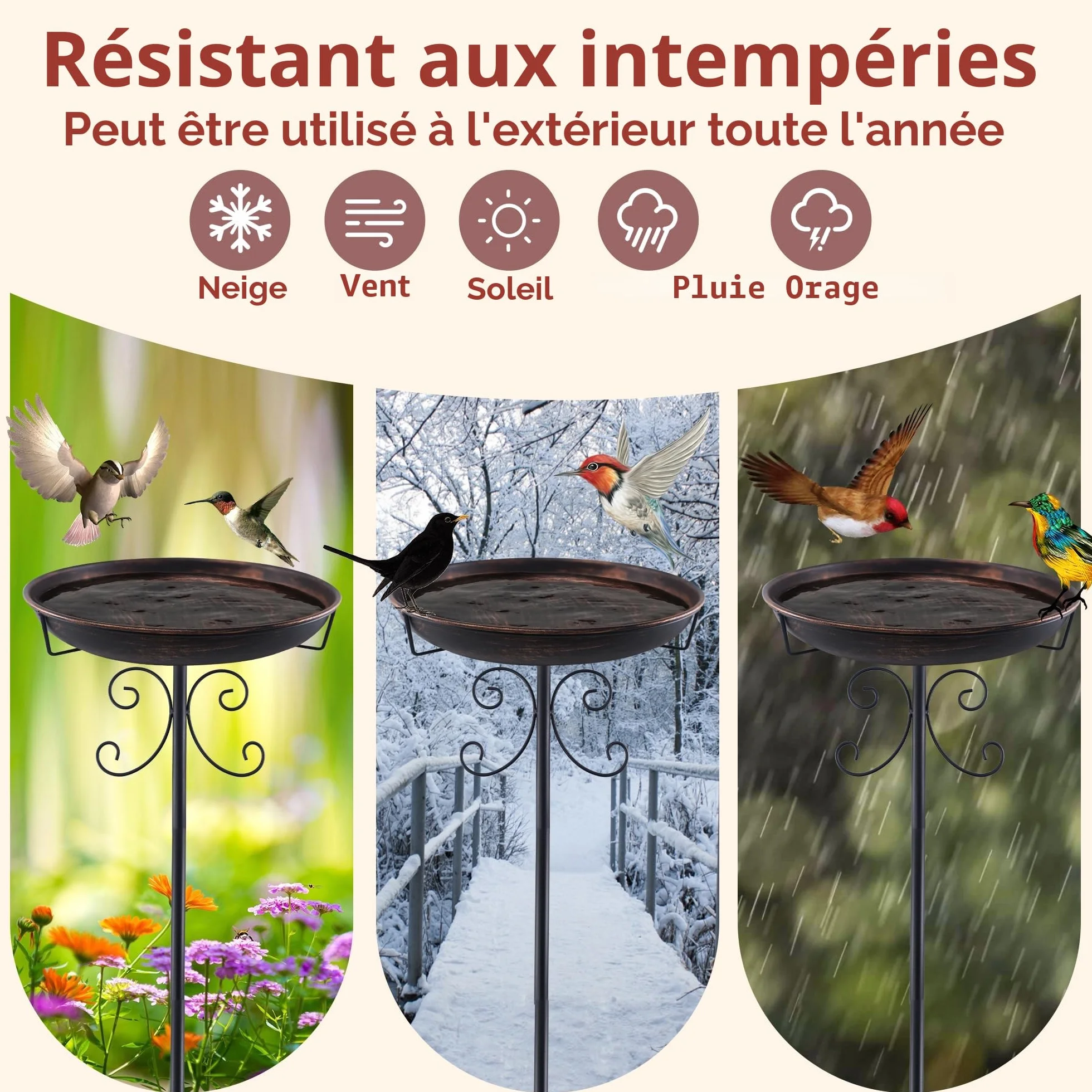 Bain d'Oiseaux pour Extérieur - Abreuvoir et Mangeoire pour Oiseaux Sauvages avec 5 Bases Fixes