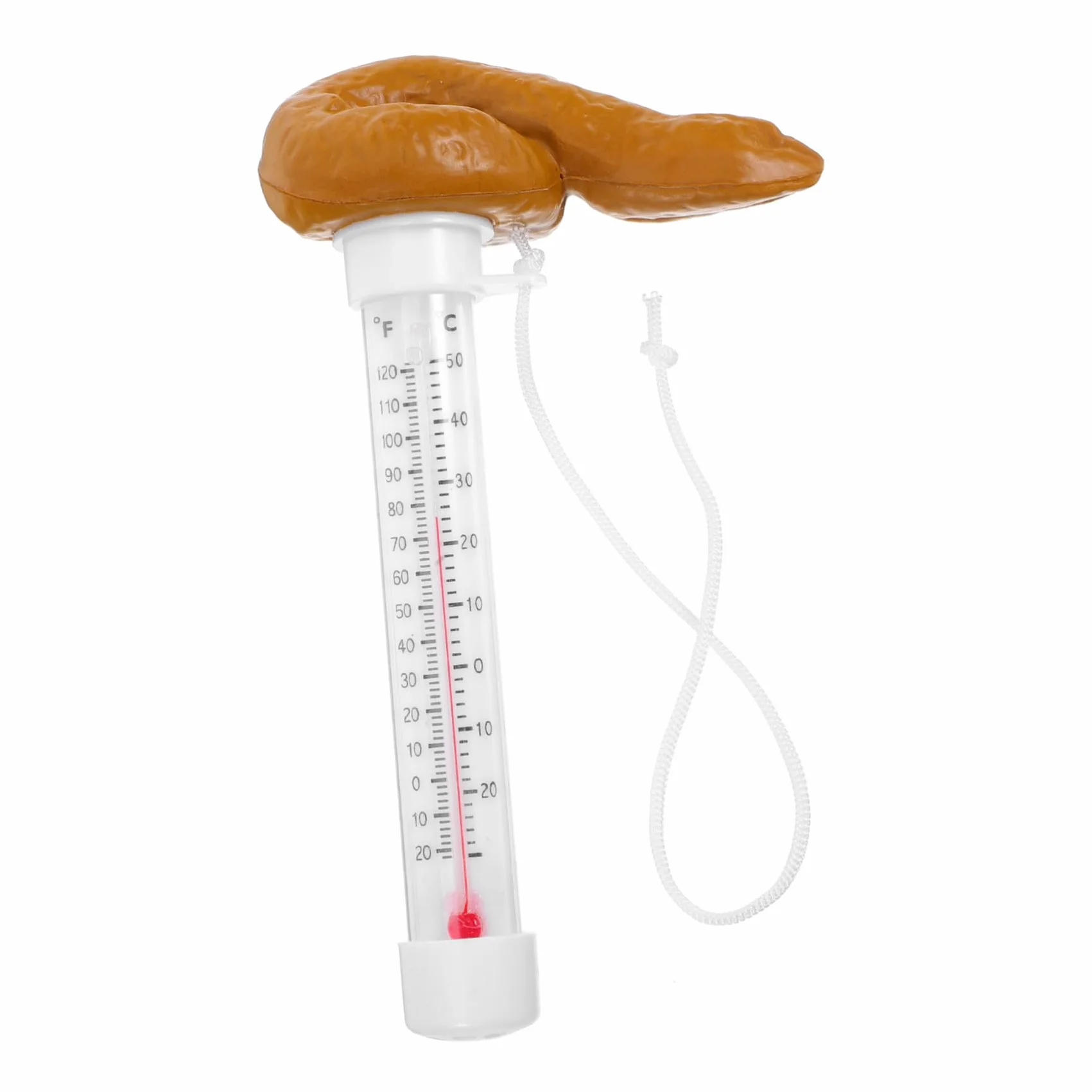 Thermomètre de Piscine Flottant avec Capteur Précis pour Spas Bains à Remous