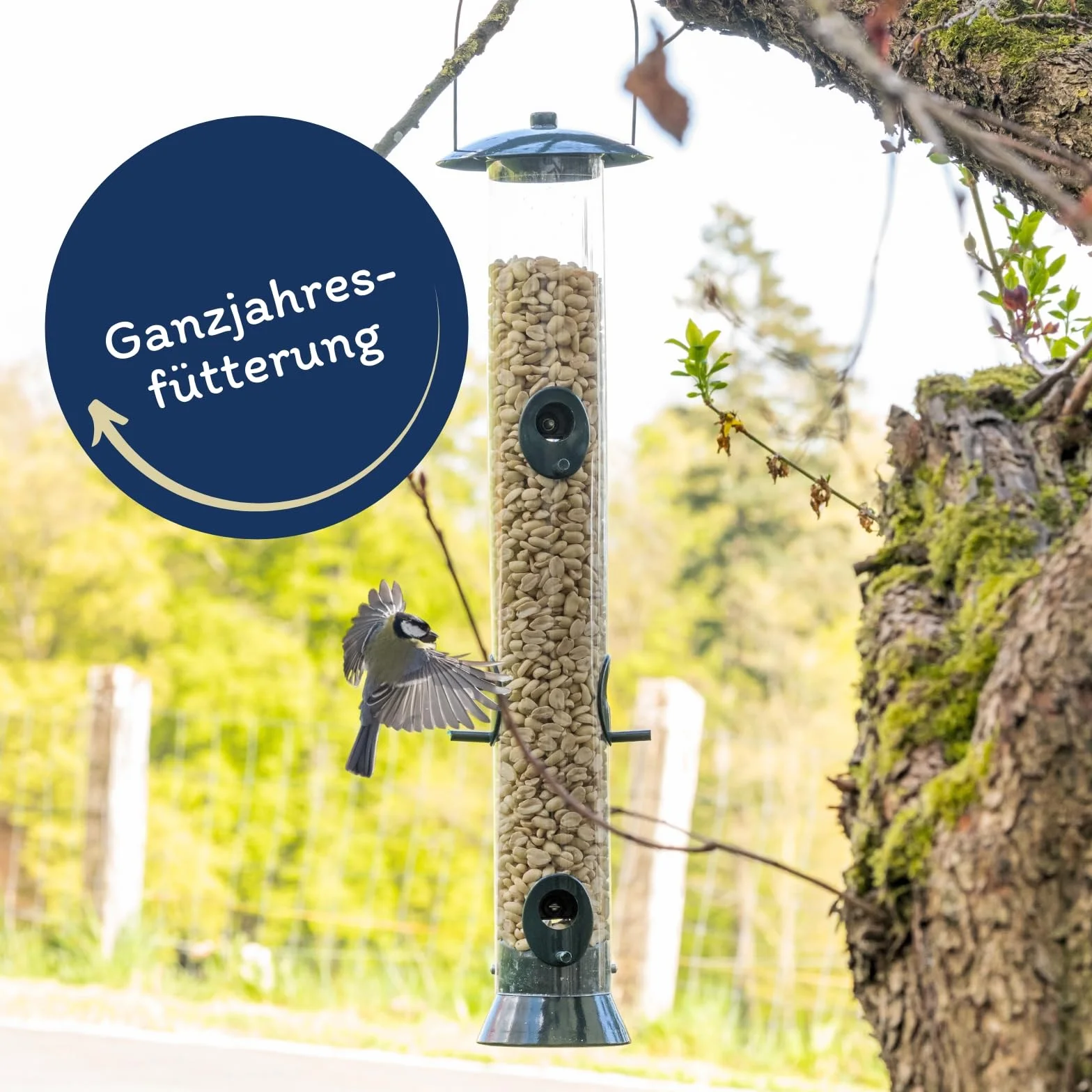 Lyra Pet® Graines de Cacahuètes Splits 20 kg pour Oiseaux Sauvages