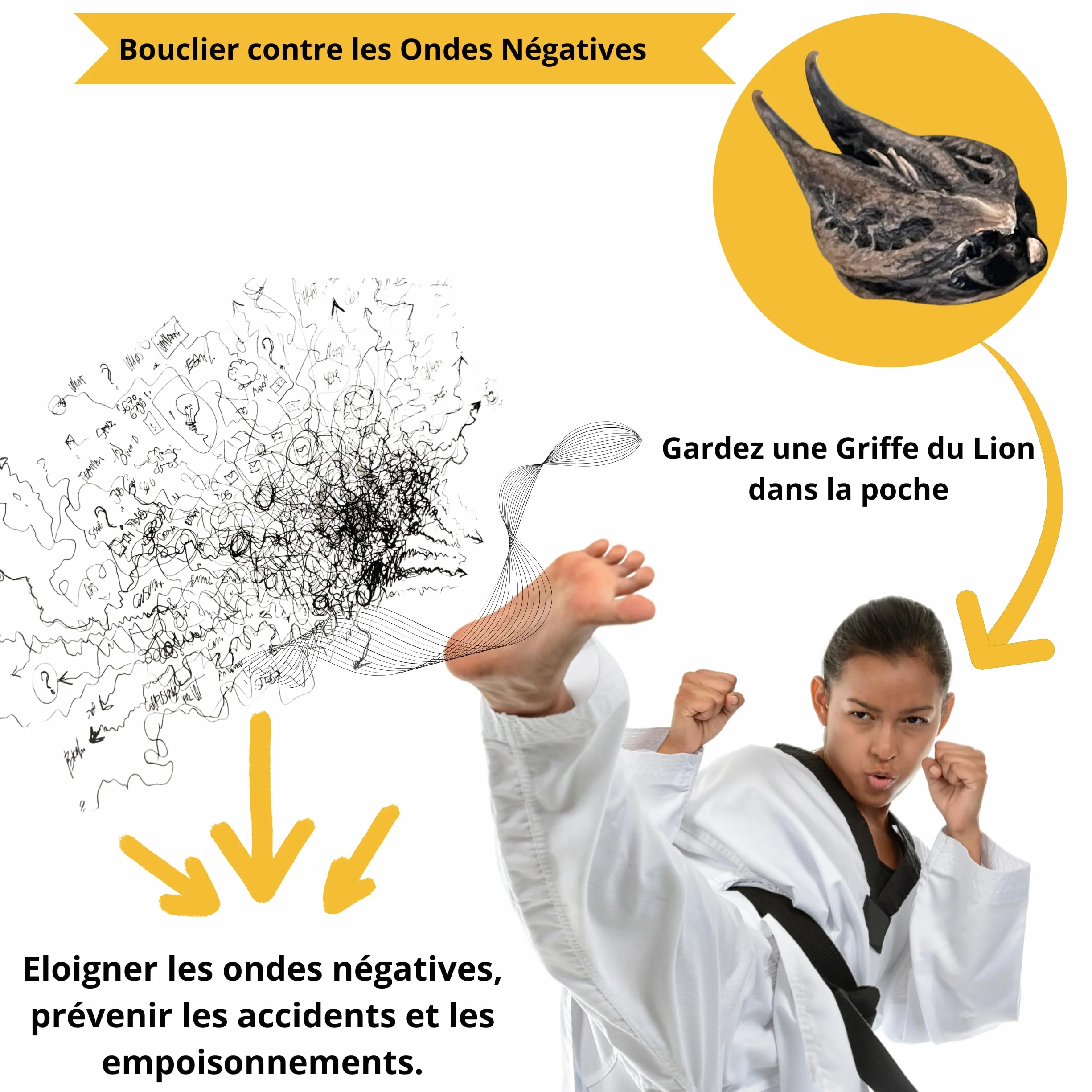 Griffes du Lion 20 Pièces Martynia Annua Bicorne Séché Soin Ayurvédique Herboristerie Protection Énergétique