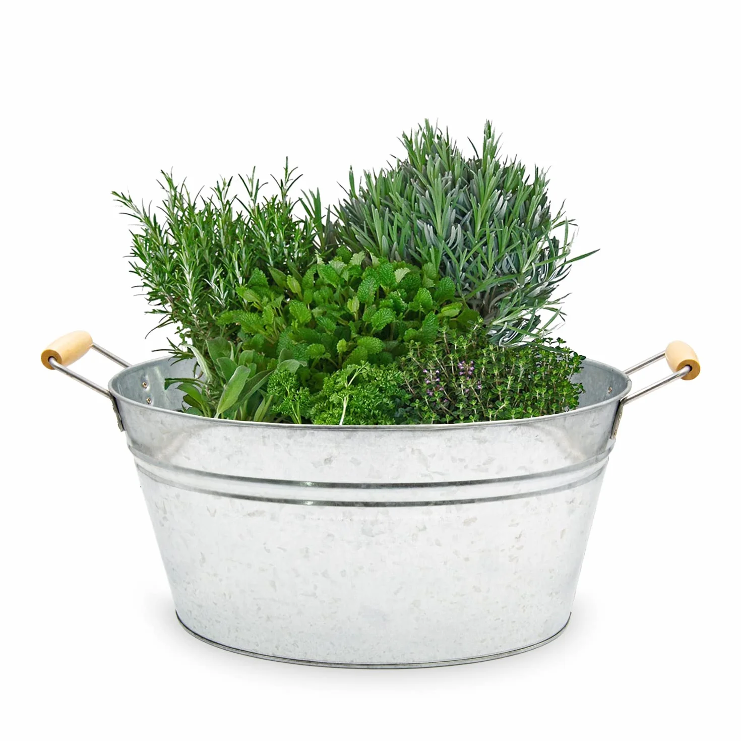 Baignoire galvanisée bac à plantes mini étang décoration jardin extérieur