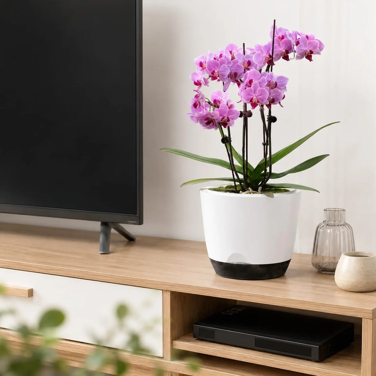 Lot de 2 pots à orchidées 14.5 cm auto-arrosant double couche avec trous