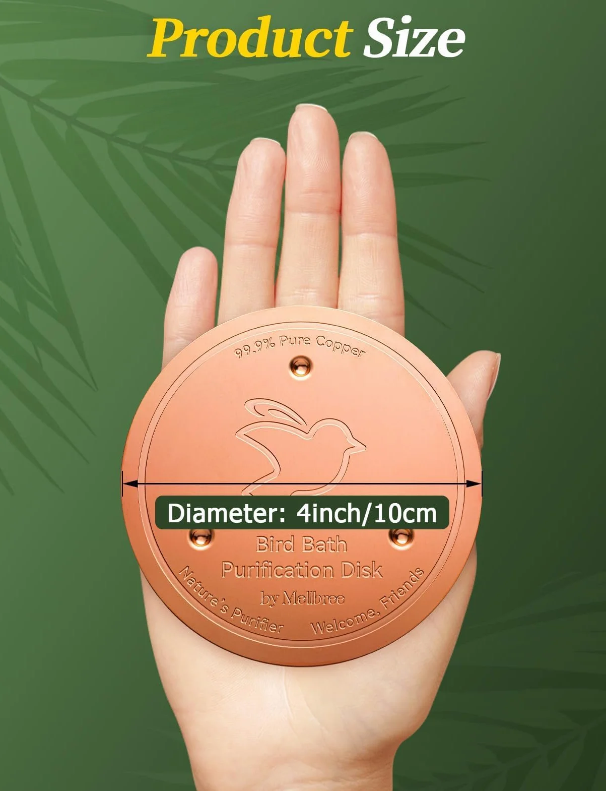 Lot de 3 disques en cuivre pur 99,99 % renforcé 0,6 mm pour bain d'oiseaux avec support à trois points