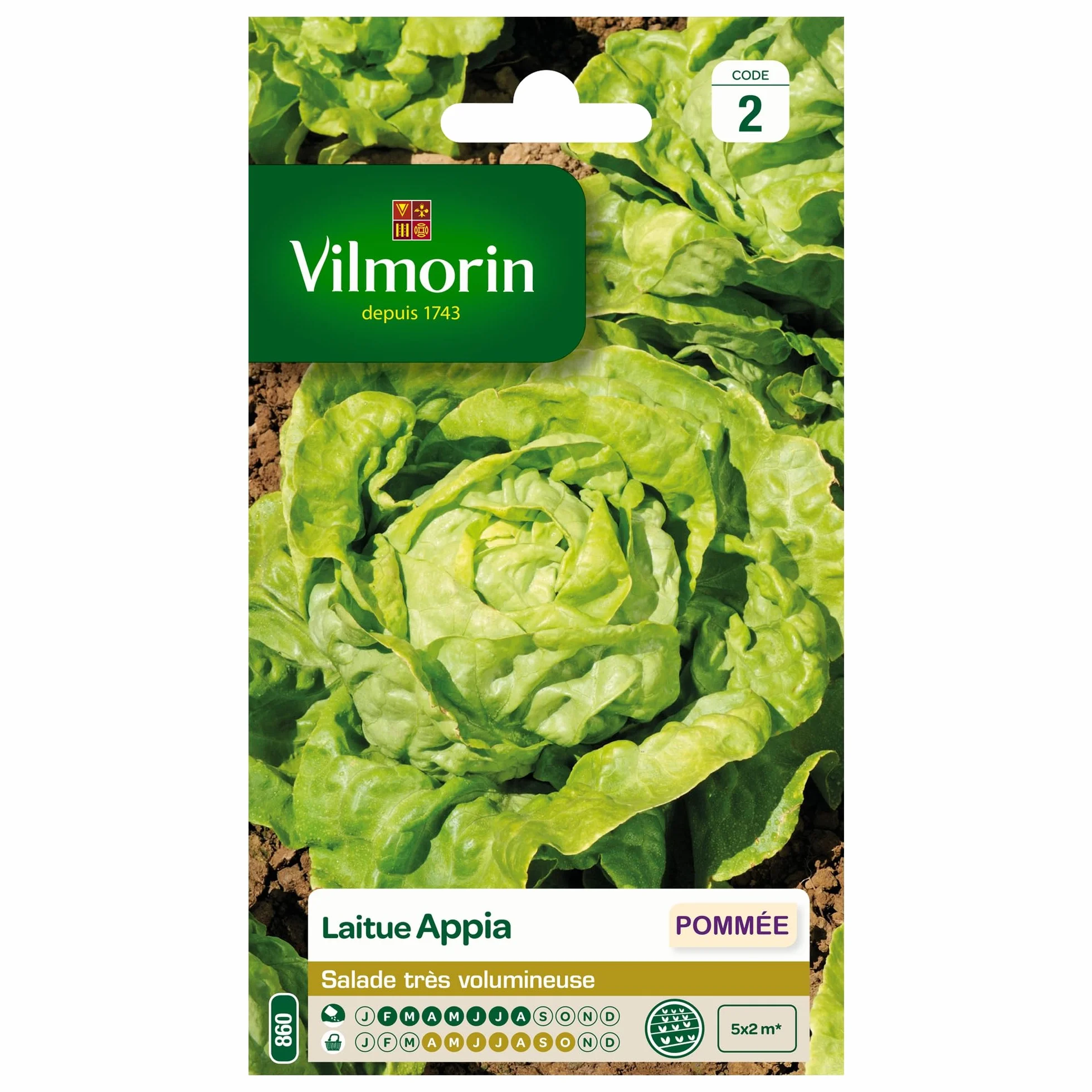 Vilmorin Pack de Graines Laitue Pommée Appia