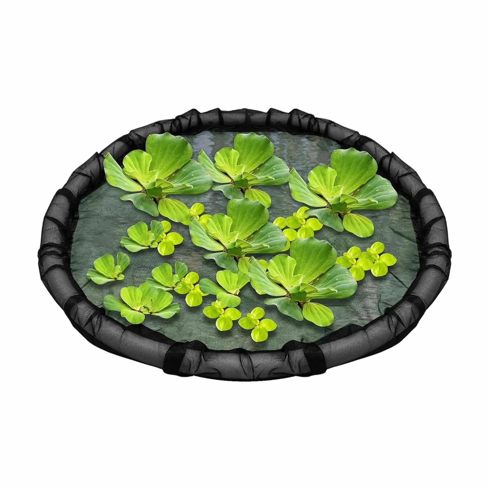 Anneau flottant pour plantes Barrière flottante poissons flore aquatique maille 45 cm grille fine décorative étang