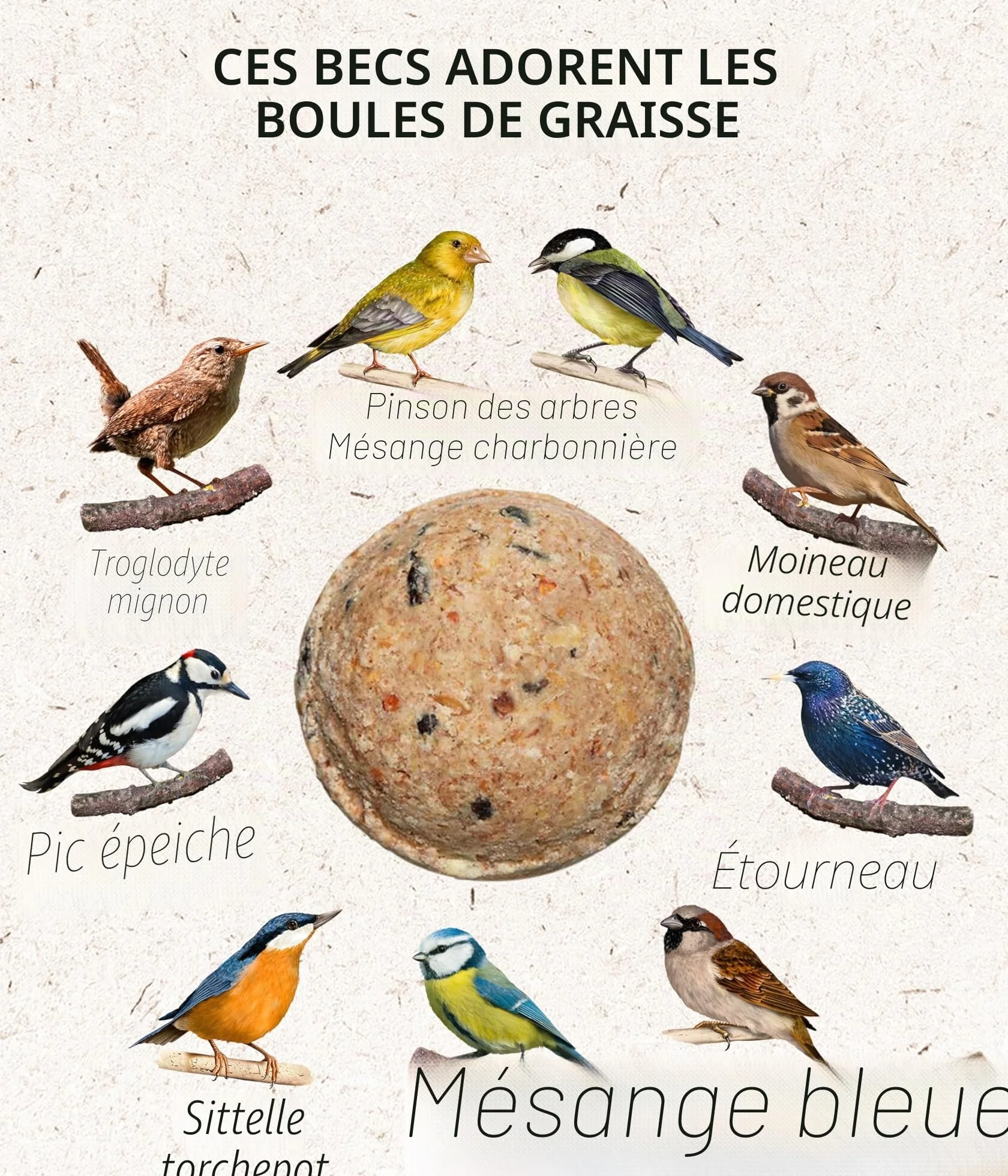 Dehner Natura Lot 100 Aliments Oiseaux Sauvages Boules Graisse sans Filet Carton 10 kg