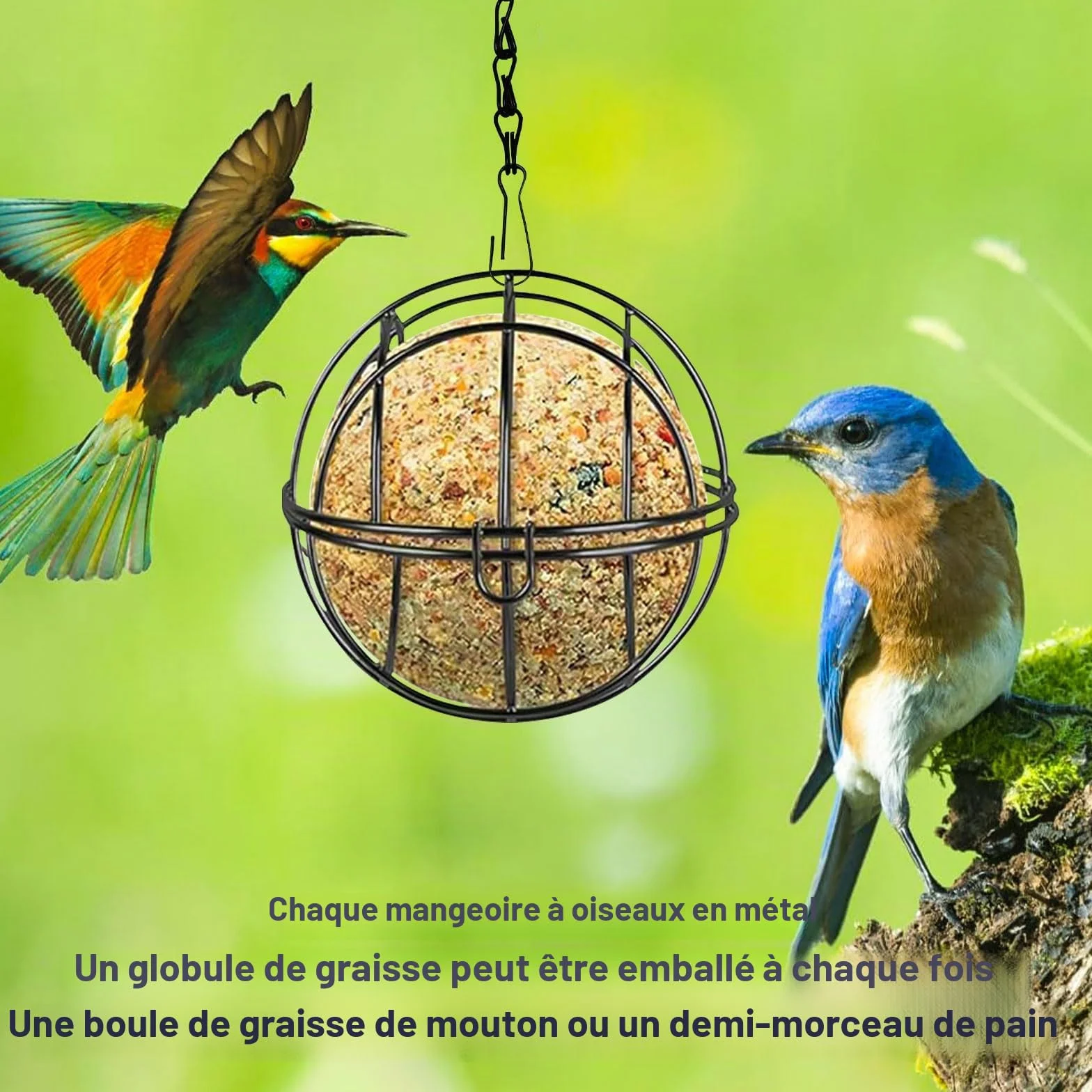 Mangeoires à boules de graisse pour oiseaux en métal anti-écureuils 4 pièces avec crochets S extérieur