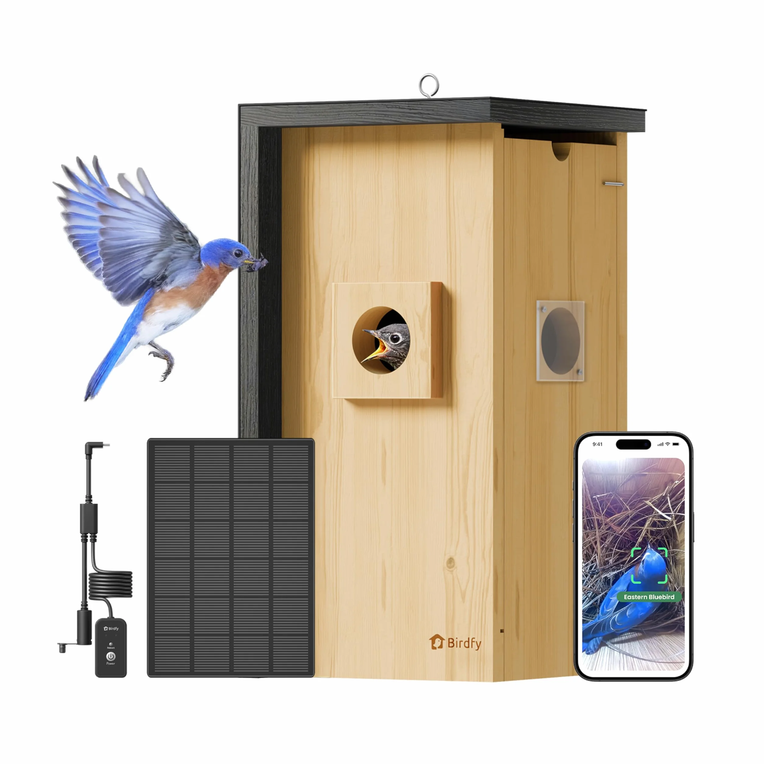 Birdfy Nichoir à oiseaux avec caméra 2 mégapixels, observation en temps réel