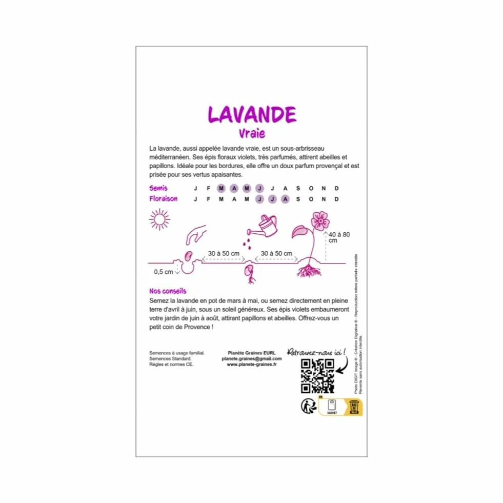 Graines de Lavande Vraie Bleue 300 Plante Aromatique Mellifère pour Jardin Balcon