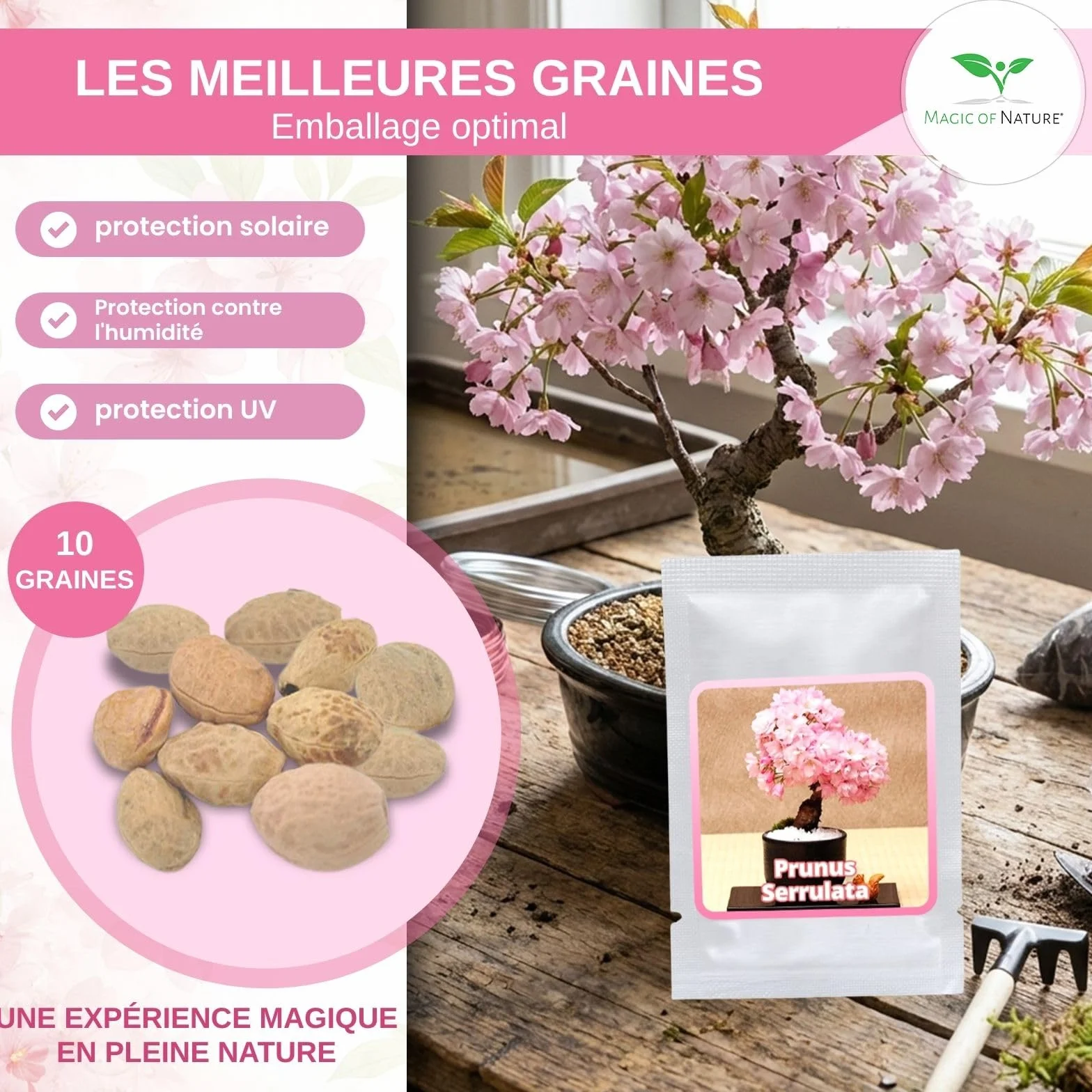 Magic of Nature Cerisier du Japon Graines de Sakura 10 Pcs - Semis Rustique Arbuste Jardin Bonsaï