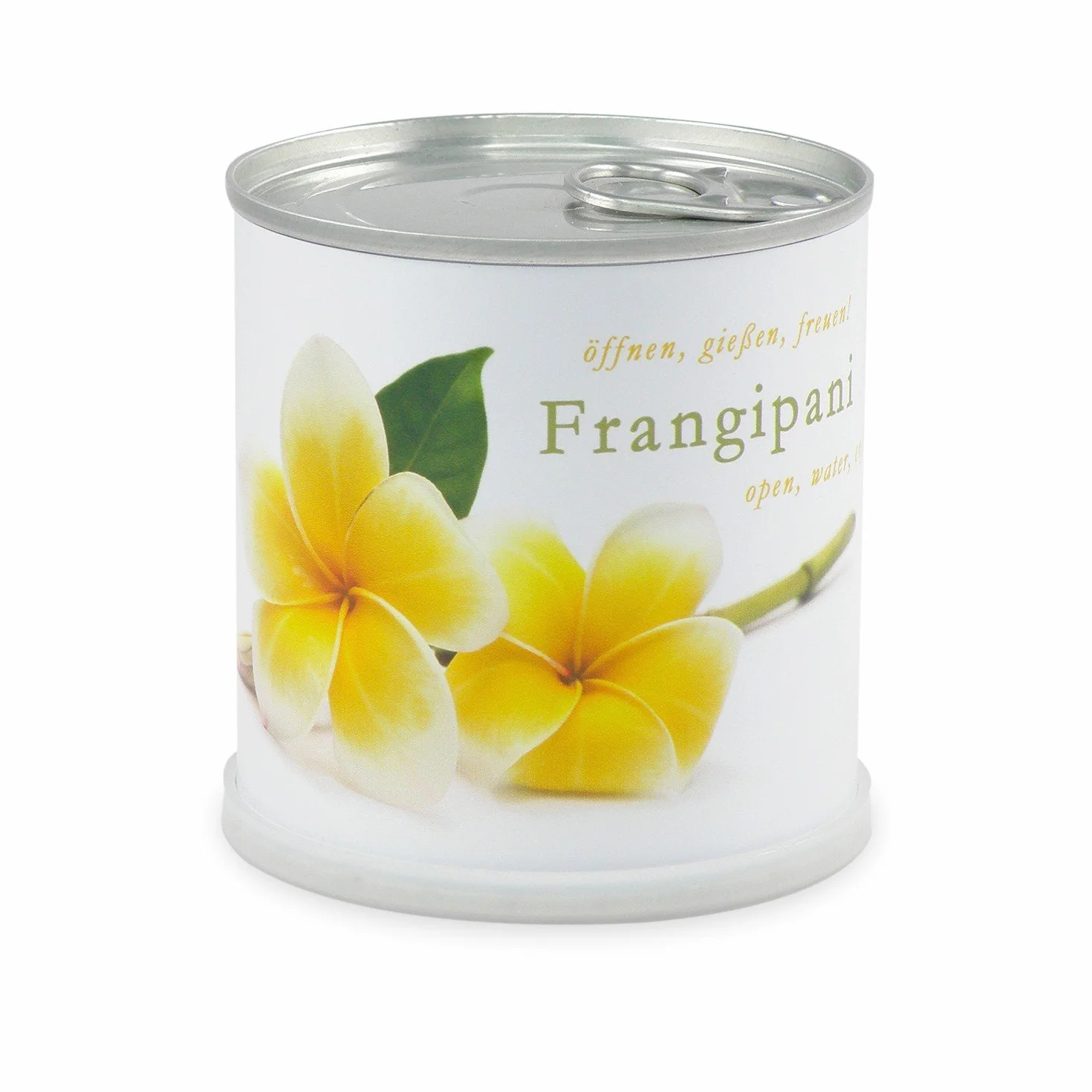Frangipanier – Plumier de macflowers dans la boîte