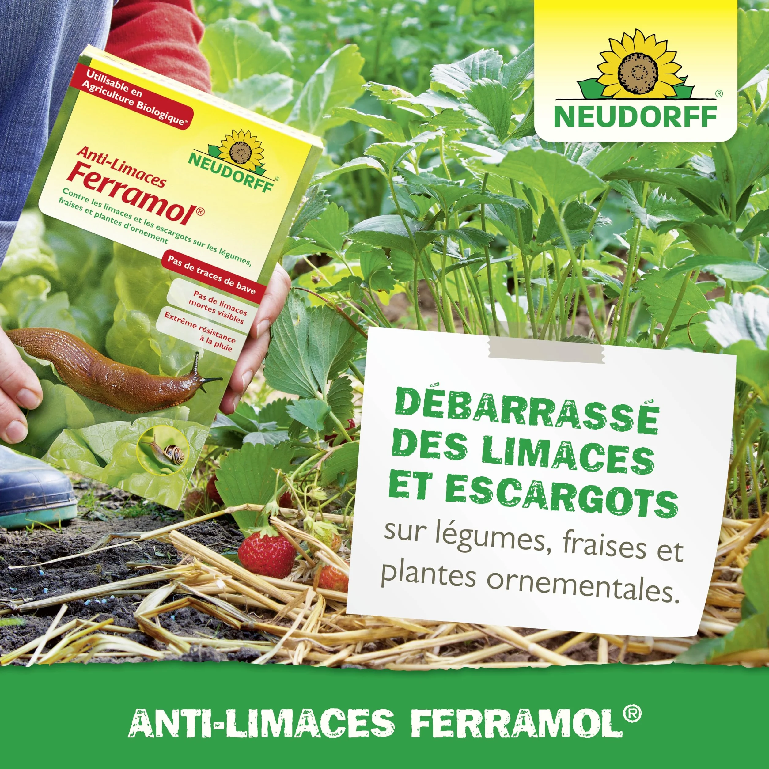 Neudorff Anti-Limaces Ferramol 1 kg Pellets contre limaces et escargots 200 m²