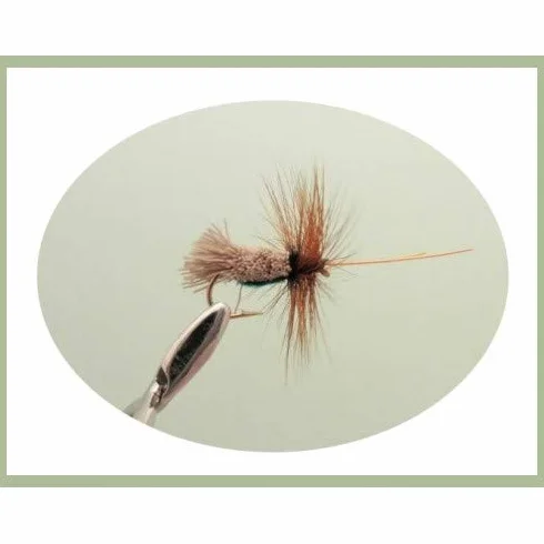 Mouche à Truite Sedge, Lot de 36, 12 Modèles, Taille 10/12, Mouche Sèche pour la Pêche SF5Y
