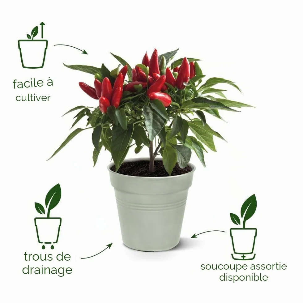 Elho Green Basics Pot De Culture 35 - Ø 35 x H 32.2 cm - Noir/Living Noir