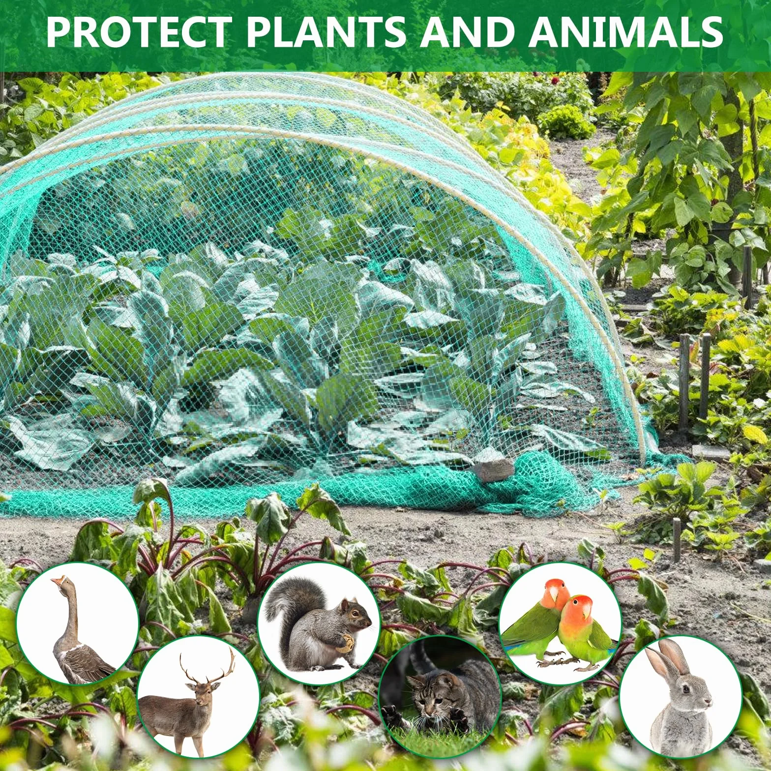 Filet Anti Oiseaux 4x20M Protection Potager Arbres Fruitiers