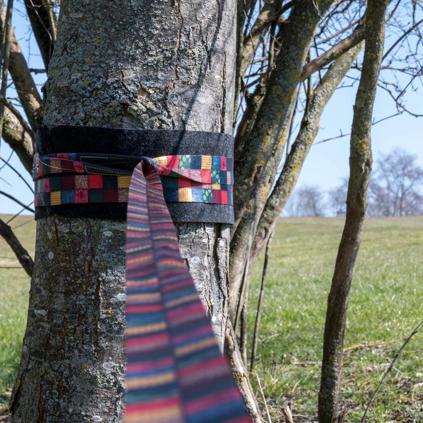 BUZZARD Patchwork Kit de Slackline 15 m avec protection pour arbre