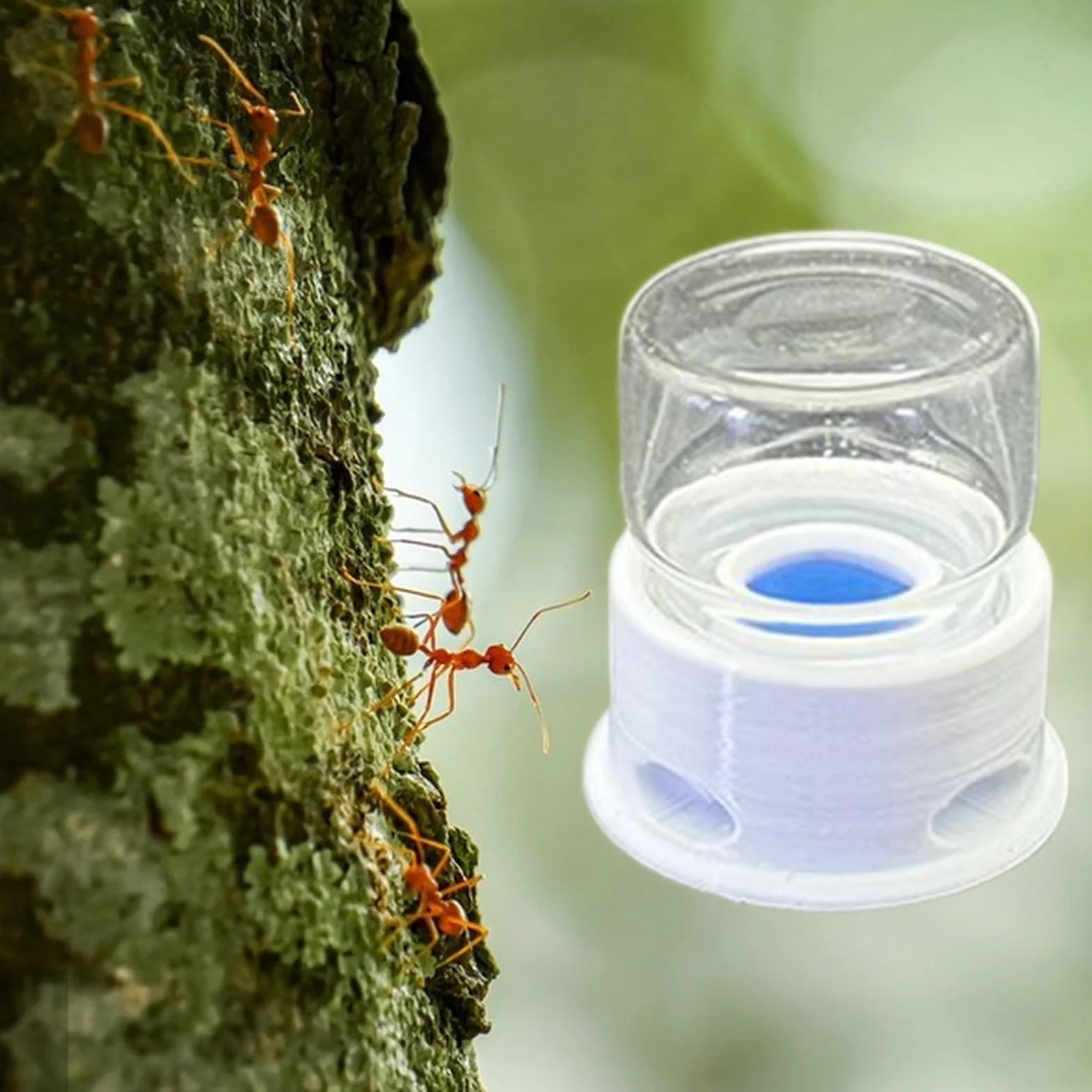 Distributeur pour Fourmis, Fontaine À Eau pour Abeilles, Distributeur À Boisson Transparent Multifonction