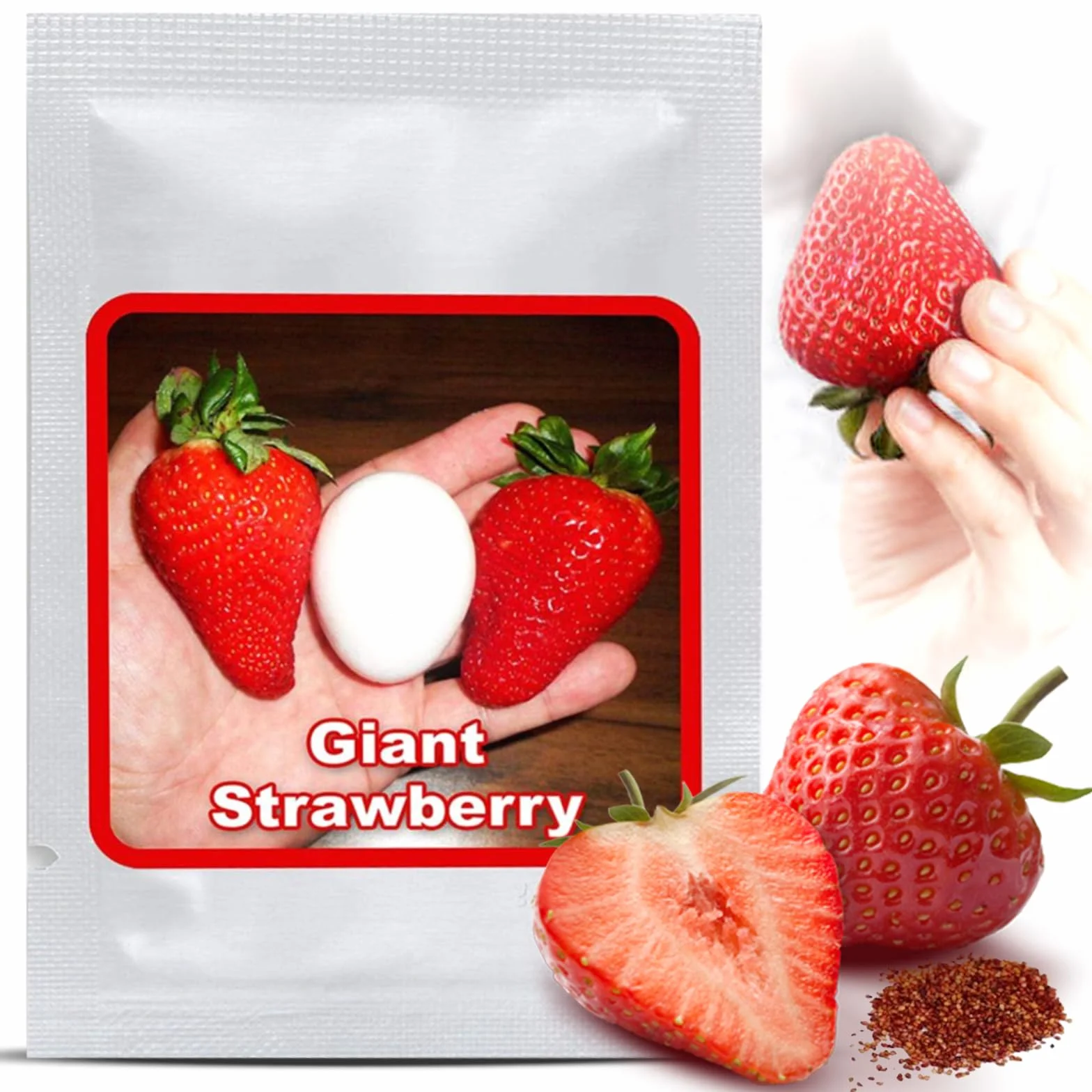 Graines de Fraises Géantes Giant 100 pcs – La plus grande fraise au monde – Fruits Sucrés – Rustique & Vivace