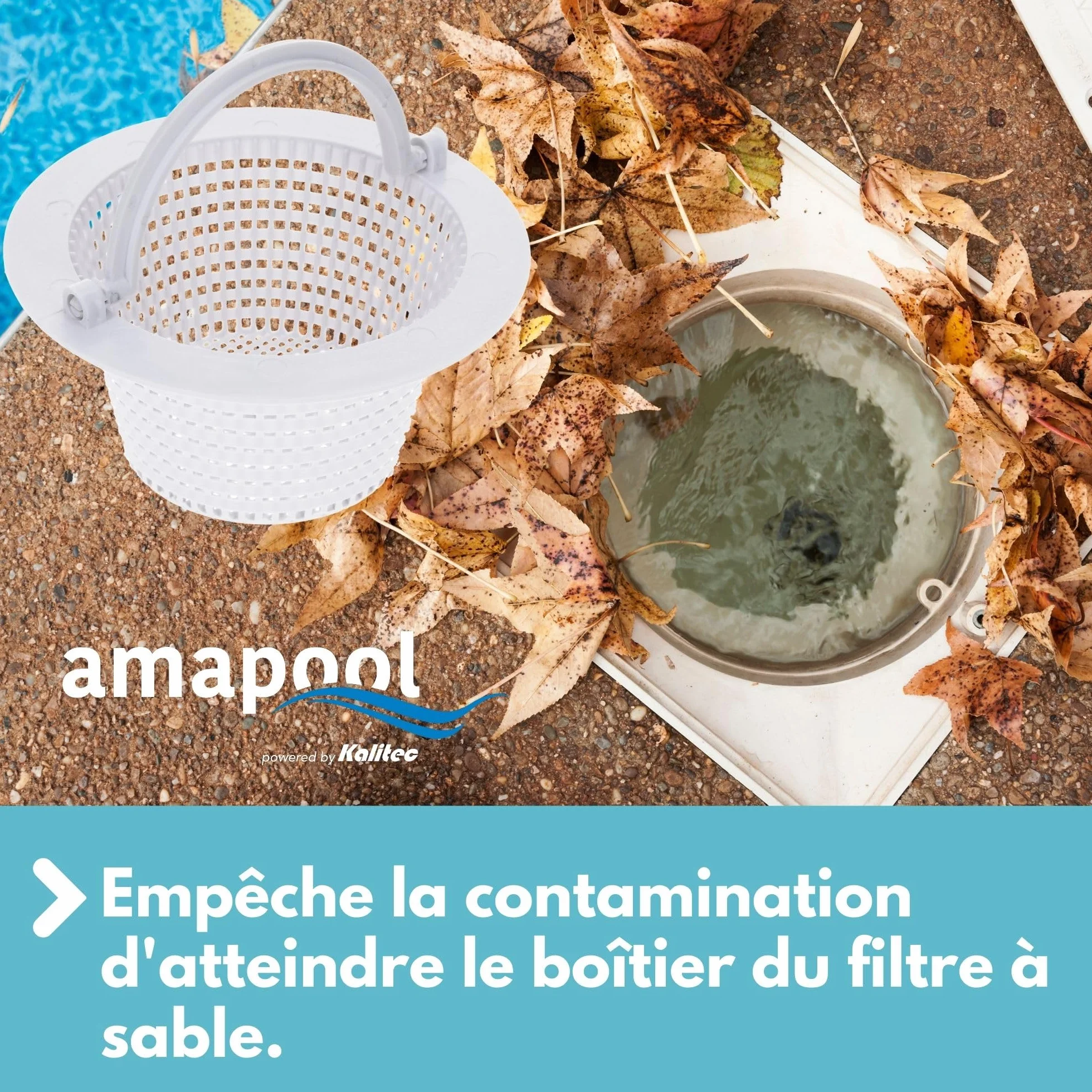 Amapool Panier de Skimmer 16 cm - Remplacement Piscine - préfiltre Bassin Tamis - résistant au Chlore