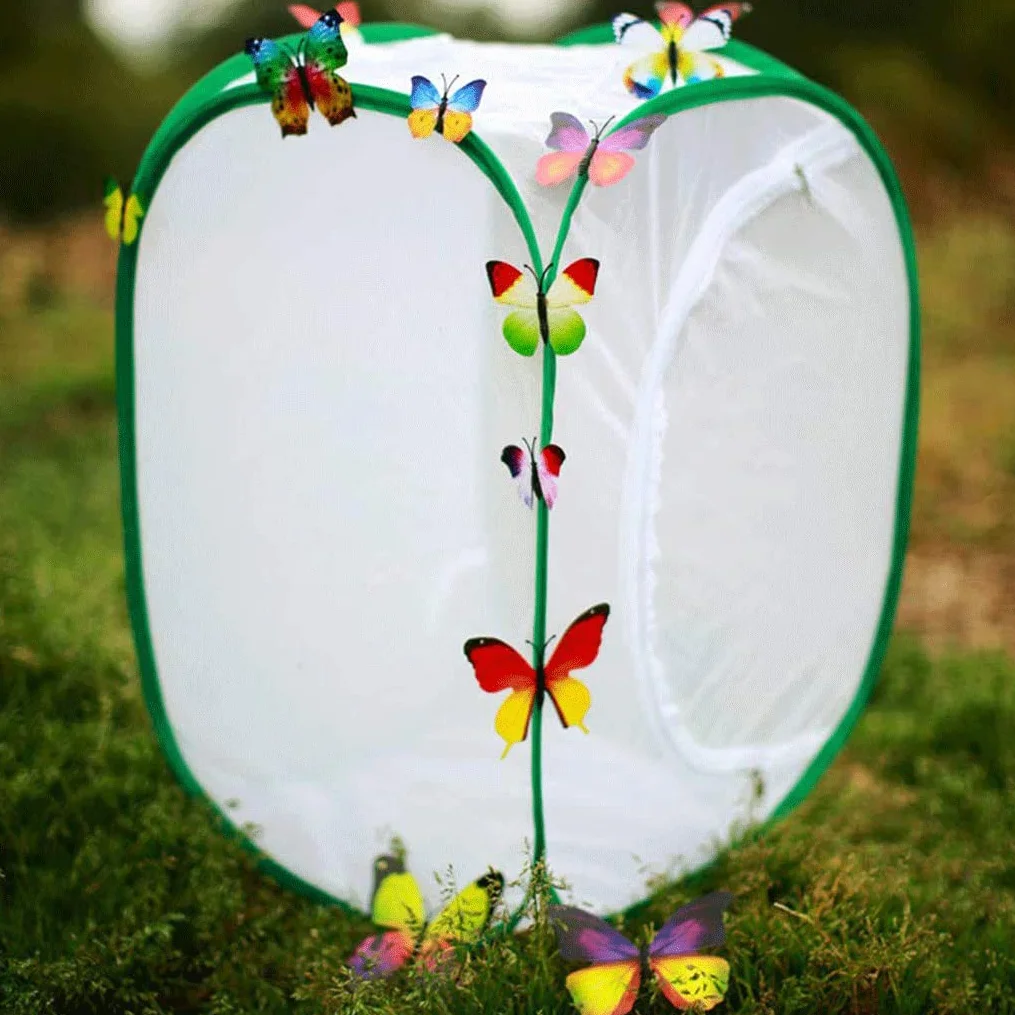 Habitat de Papillon Pliable Bug Catcher Insectes Cage de Plante Terrarium Pop-up pour Enfants Vert Grande Taille 40x40x60cm