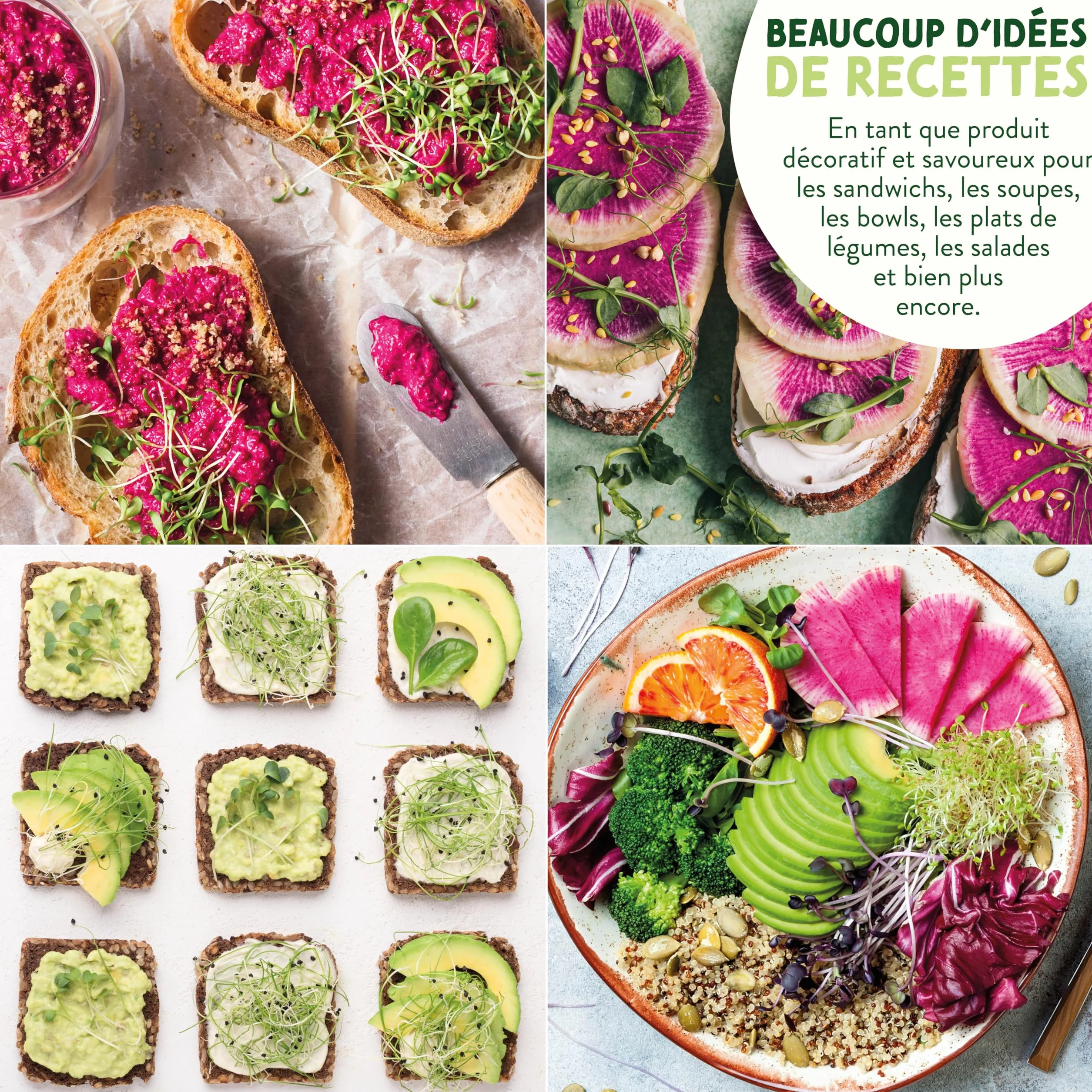 Valeaf Kit de Grains de Microgreens Assortiment de Semences Prêt à Pousser 8 Variétés de Pousses Germées