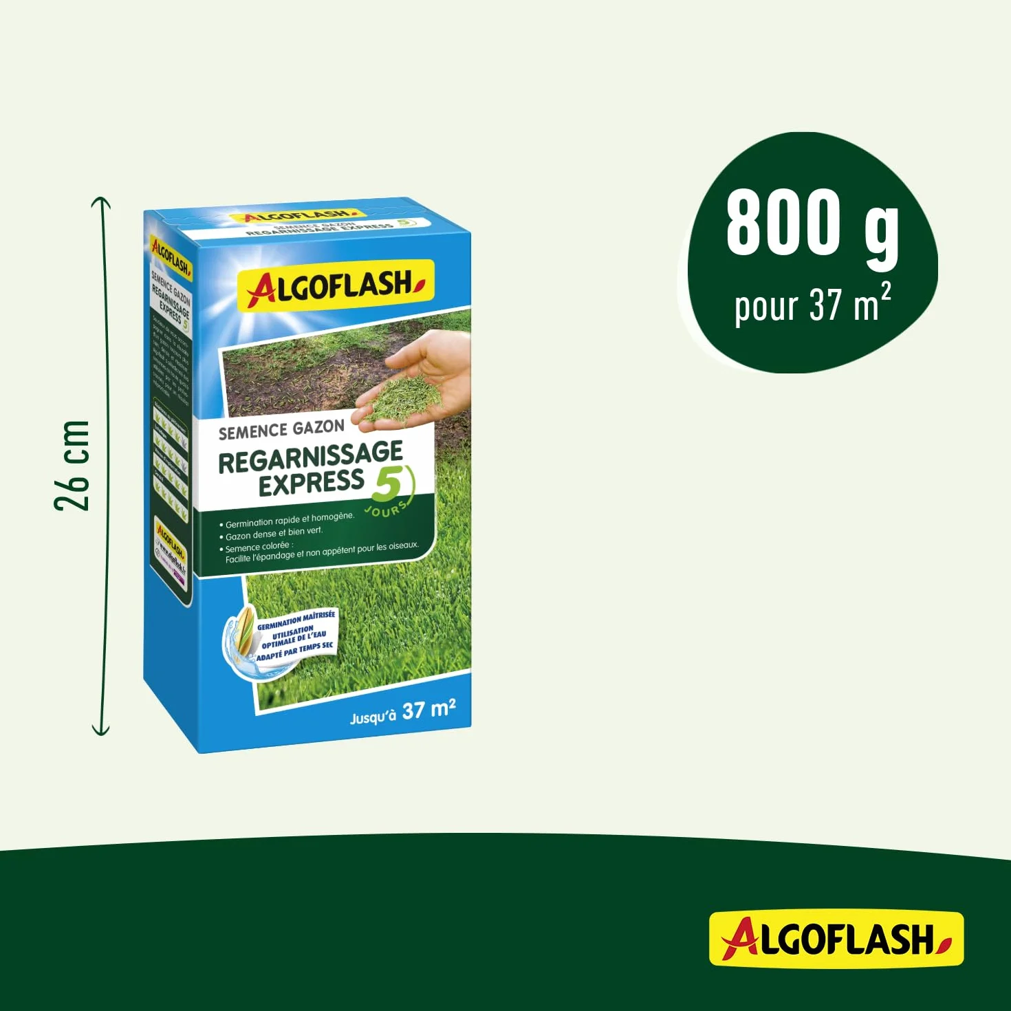 Algoflash Semence Gazon Regarnissage Express 5 Jours 800 g