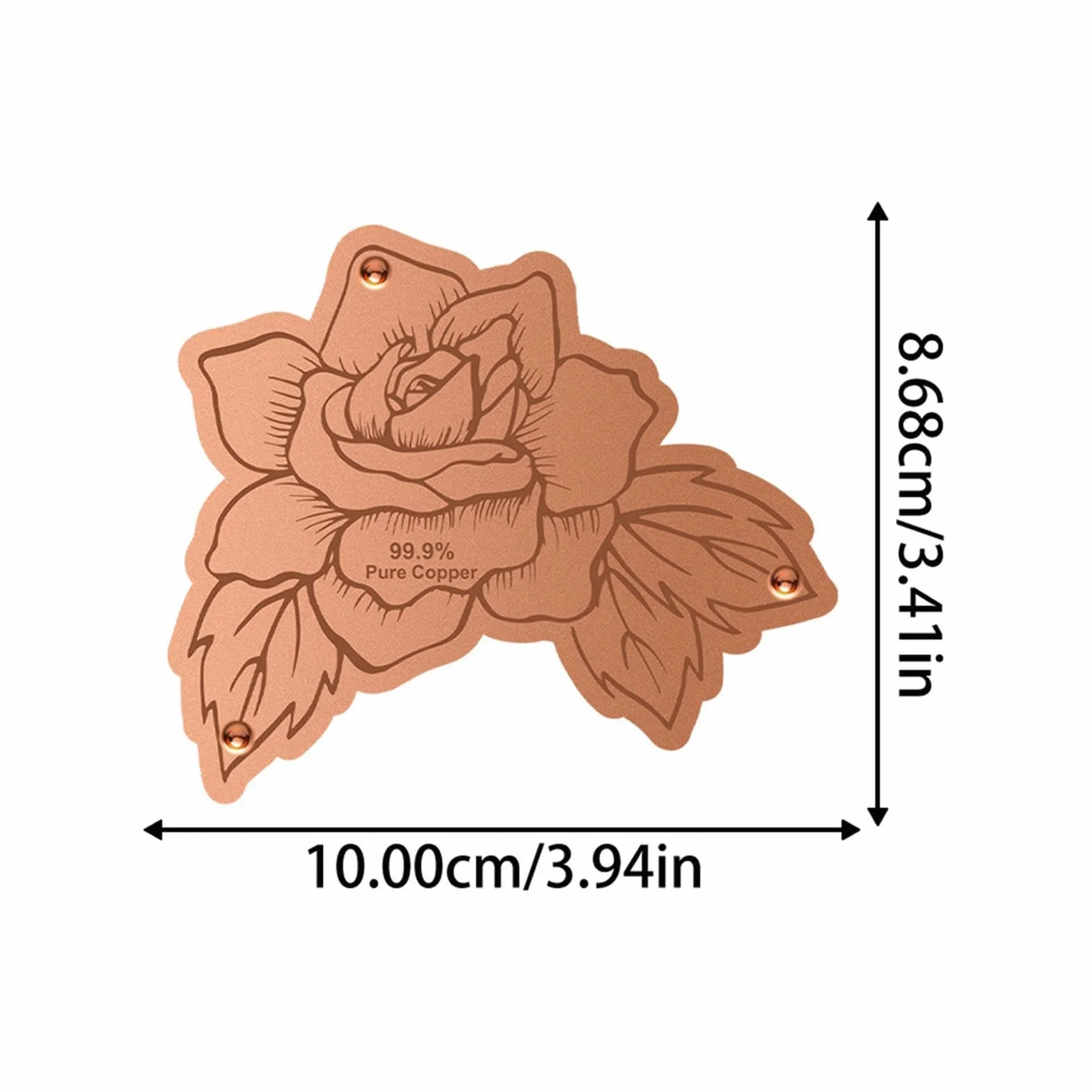 Disque en cuivre purificateur d'eau pour bain d'oiseaux - Extérieur Jardin
