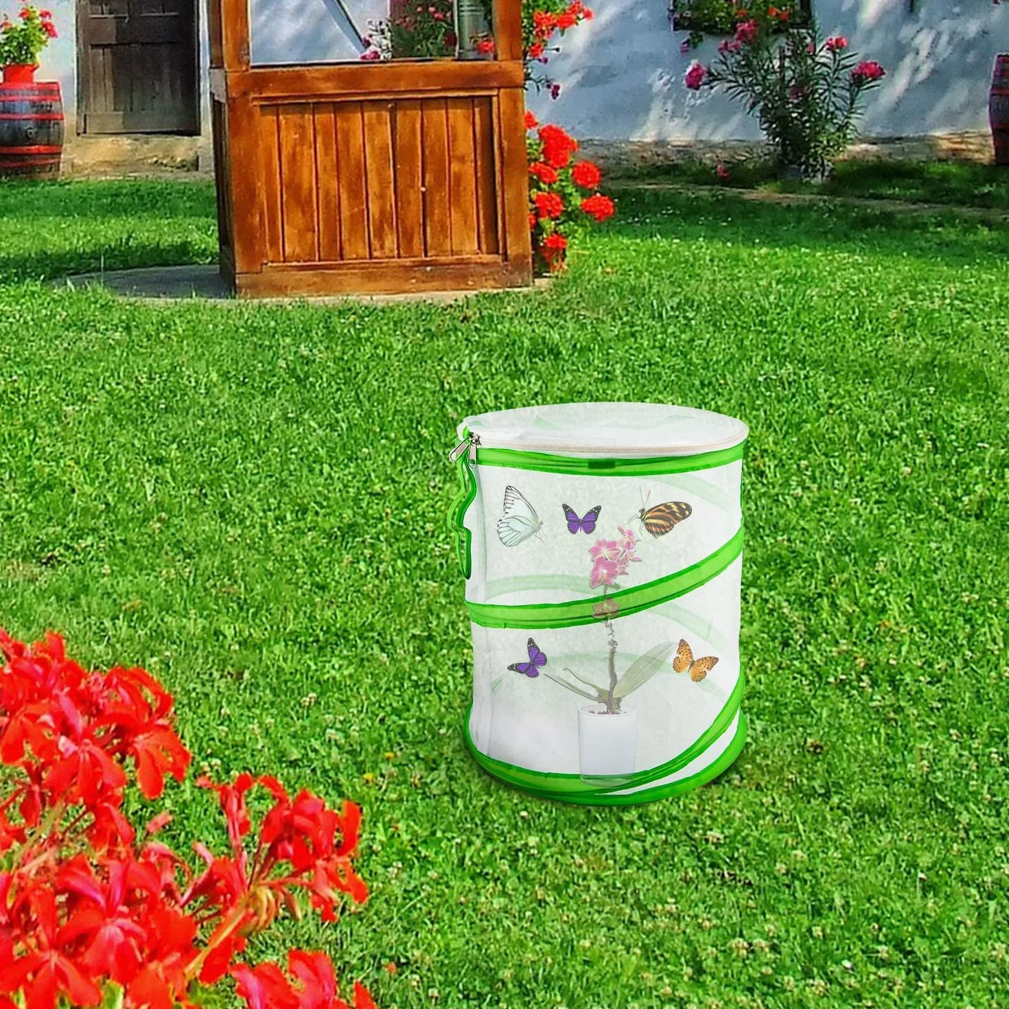 LUTER Habitat d'Insectes et de Papillons Cage Pliable 30×35cm pour l'Enseignement des Sciences