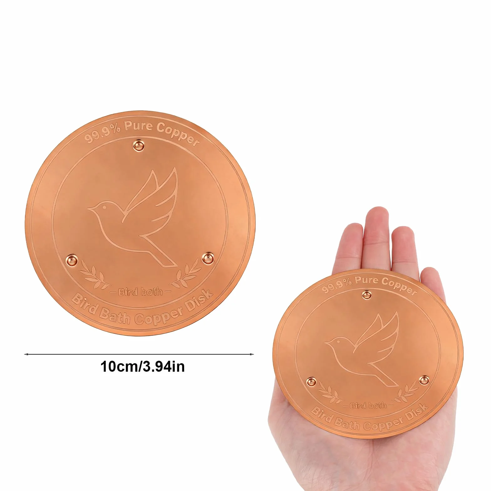 Lot de 2 Disques de Bain d'oiseaux en Cuivre Pur 99,9% pour Fontaines D'extérieur