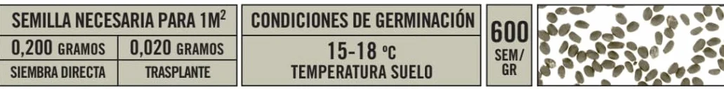 Batlle Graines aromatiques Basilic géant génois 4g