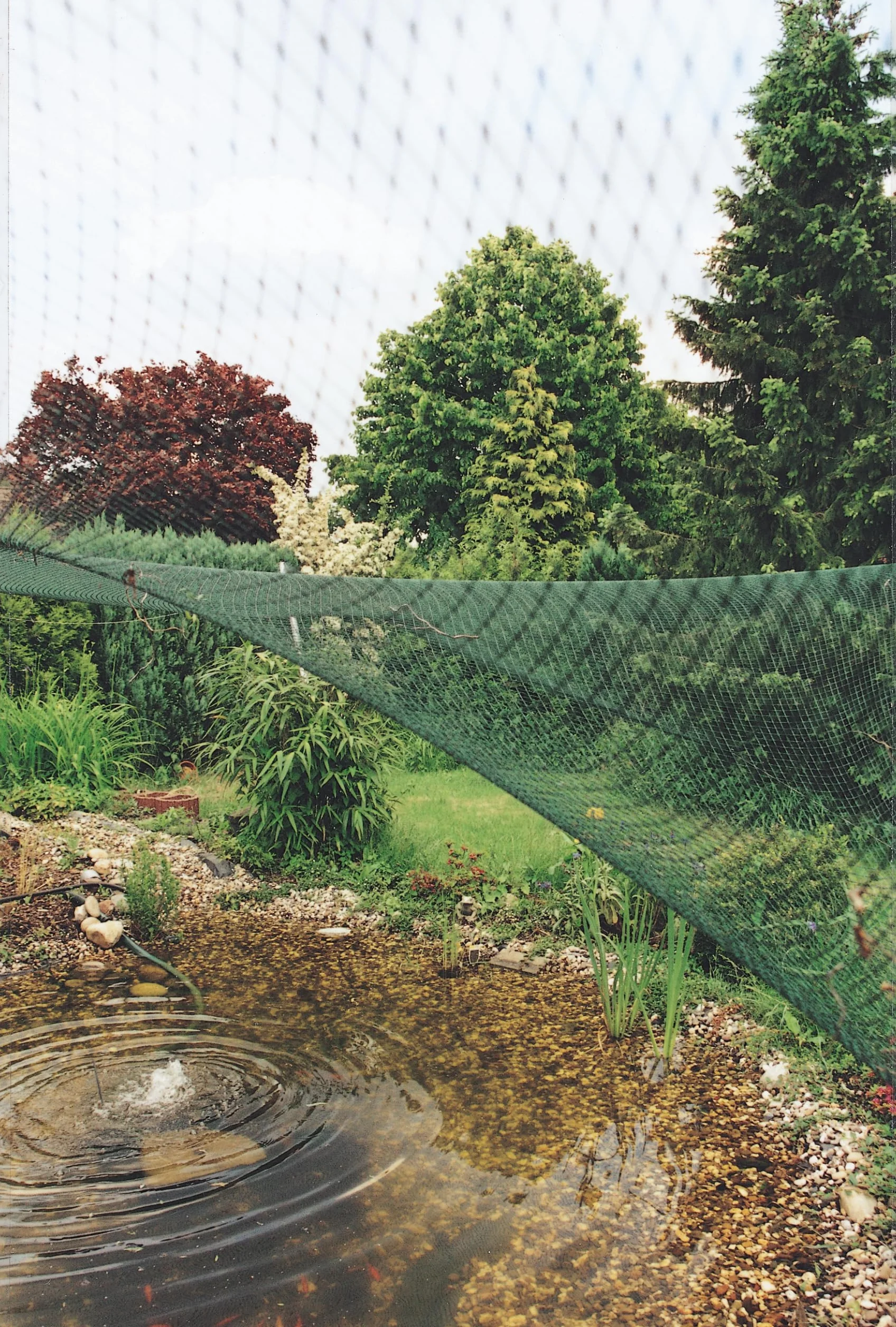 Oase AquaNet 1 Filet de Bassin 3 x 4 m