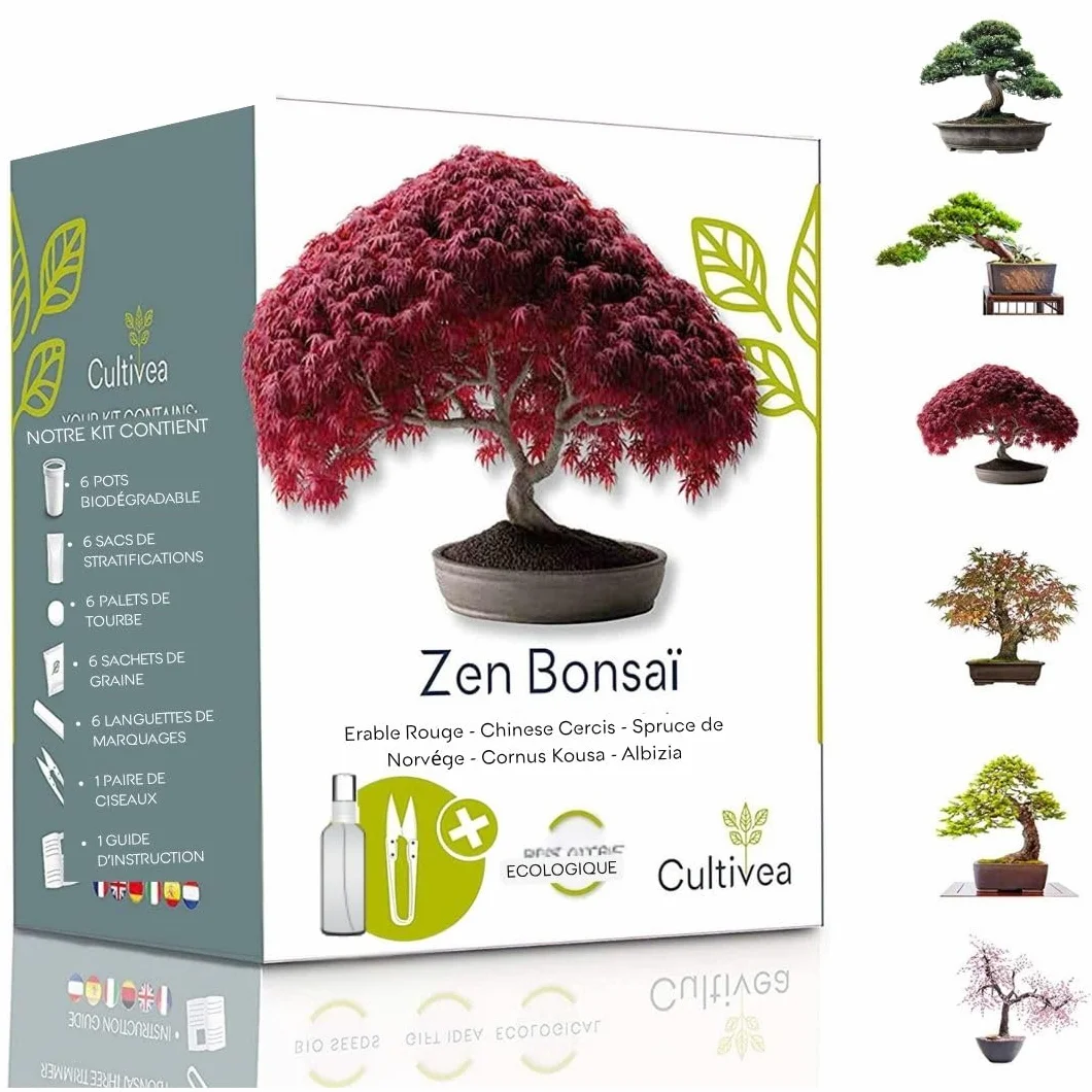 CULTIVEA® Mini Kit Prêt à Pousser 6 Bonsaï - Marque Française