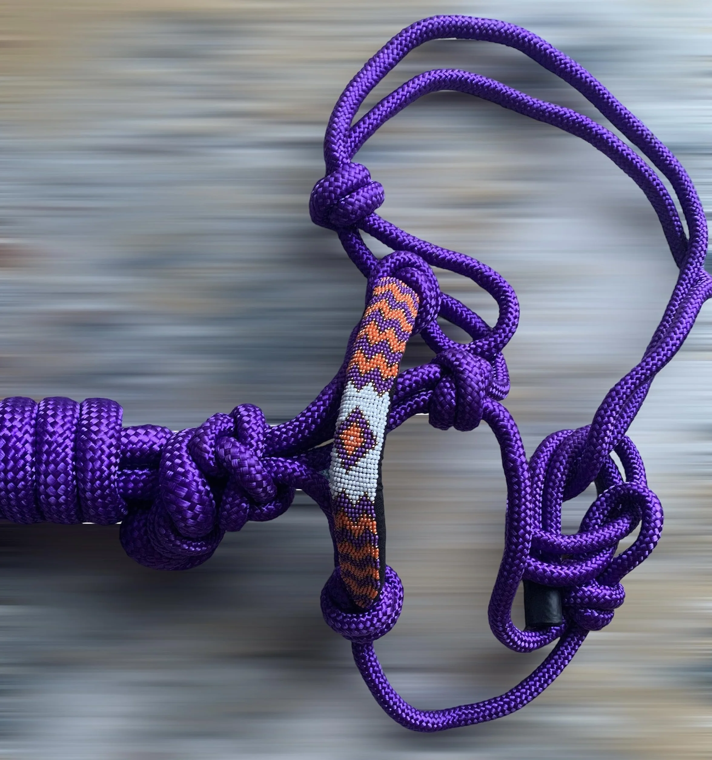 Majestic Ally Licol en Corde tressée à Nez perlé rembourré avec Laisse Assortie de 10' (Violet)