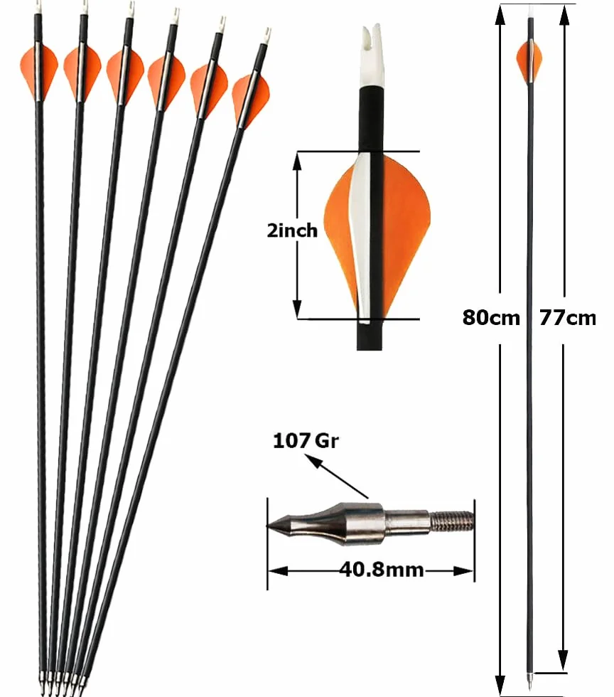 Kit Arc à Poulies pour Débutants Adulte 30-40 lbs Tir à l'arc Set Arc Compound Arc composé de Chasse Débutants Professionnel Arcs Compound Set Arc de Chasse Archery Compound Bow