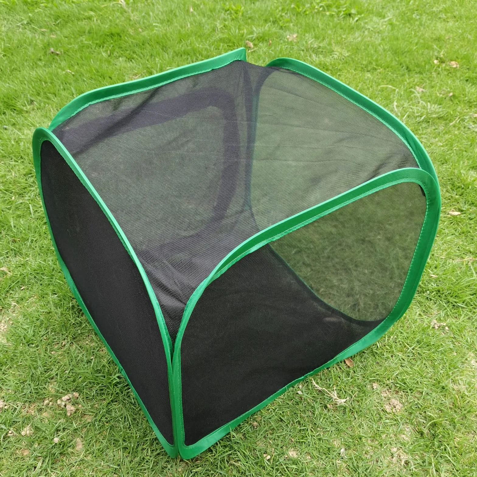 Hôtel à Insectes Pliable avec Cage Transparente pour Papillons