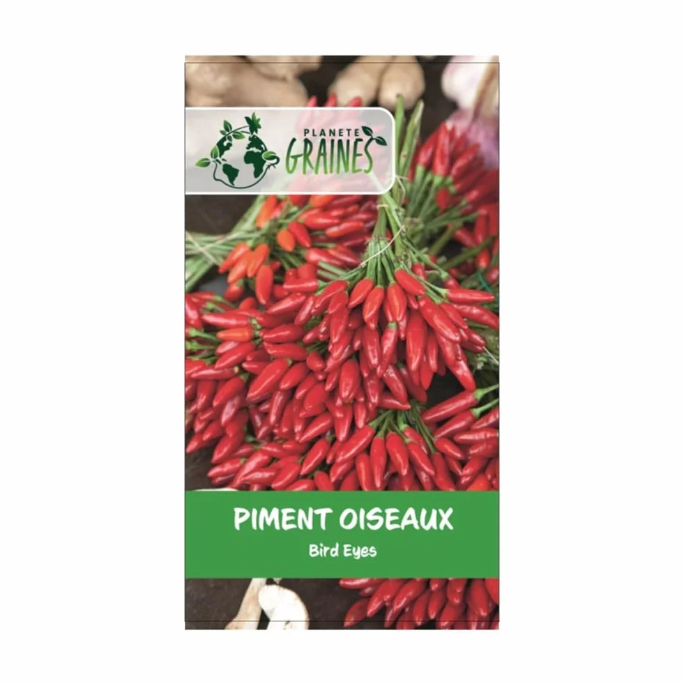 Bird's Eye Chili Seeds - Piment Oiseau Rouge - Variété Puissante et Productive