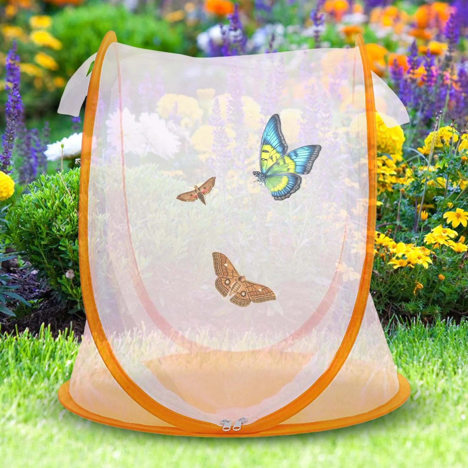 Boîtier de l'habitat de papillon - Cage de reproduction pour insectes en croissance | Maison pliable à fermeture éclair