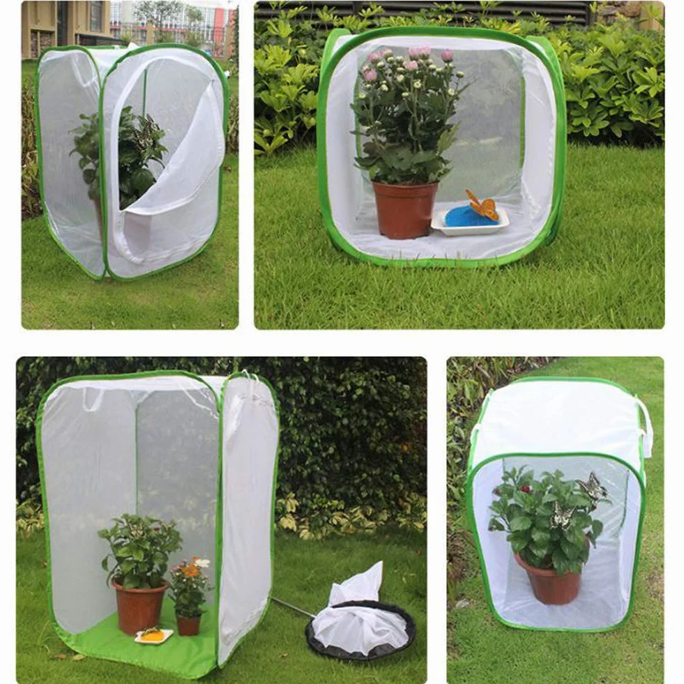 Insecte Élevage Cage Papillon Habitat PVC Transparent Pliable Amovible Blanc Filet Serre Tente pour Élevage Insectes Extérieur