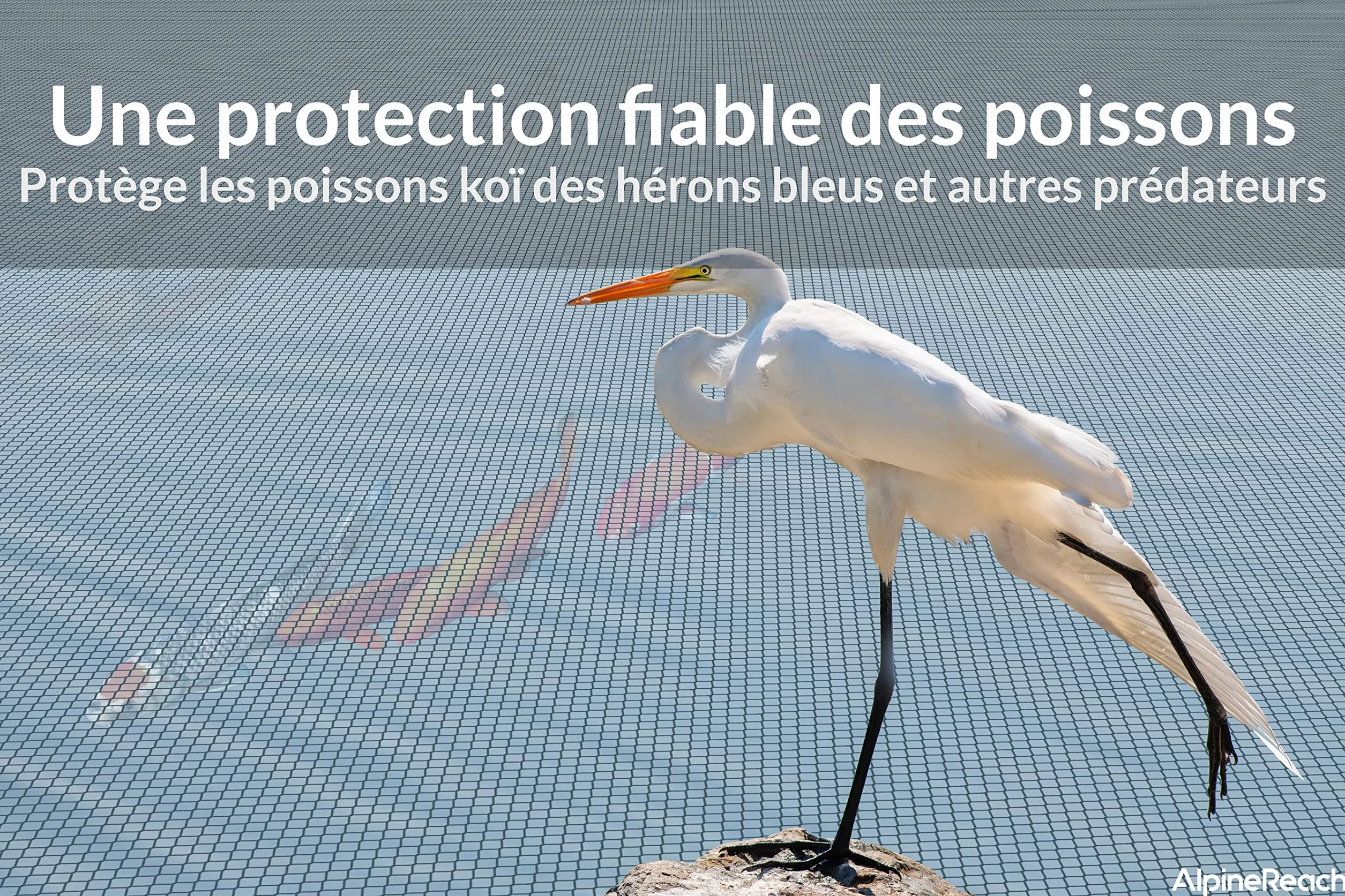 AlpineReach Filet pour Bassin à Koï 4,5m x 6m Noir, Mailles Fines Protection Oiseaux Chats Prédateurs UV, Piquets Inclus