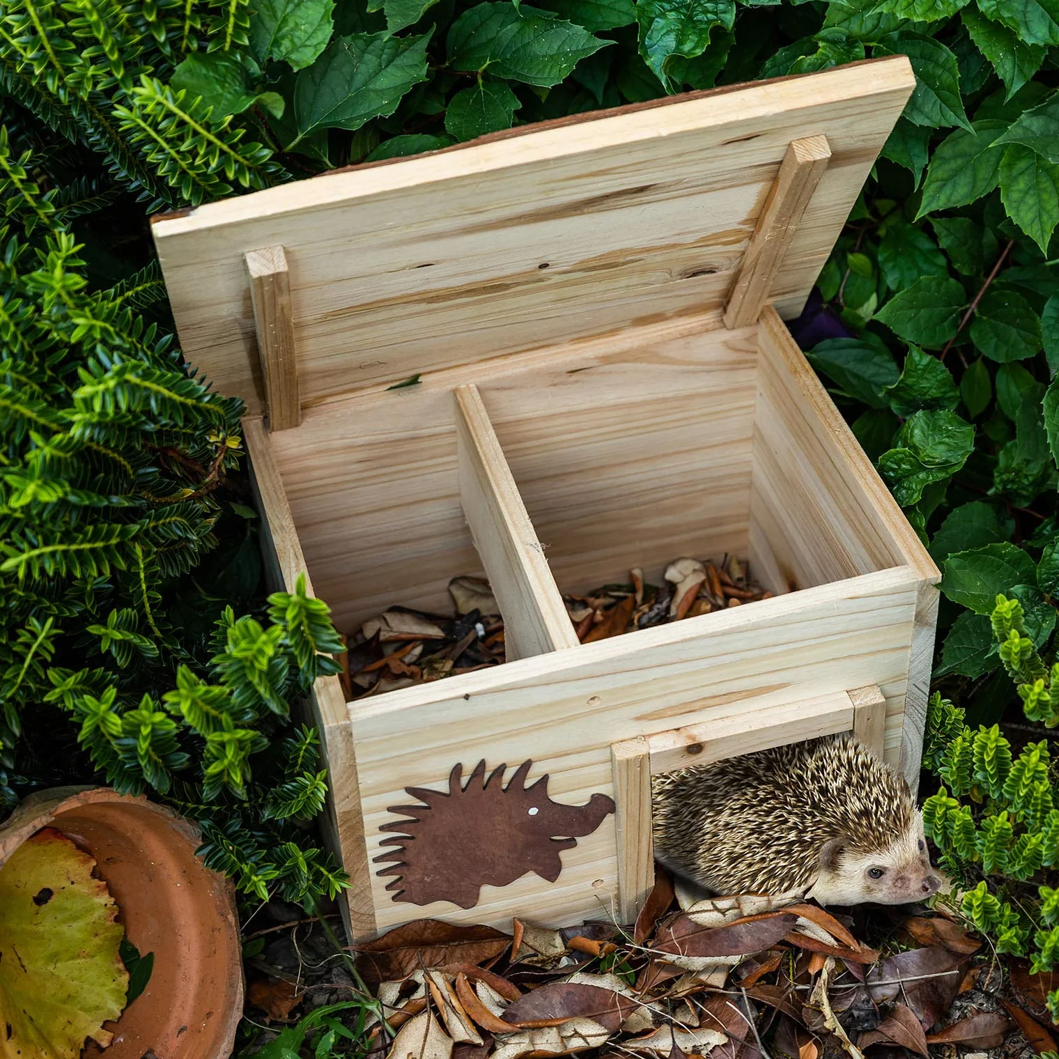 Maison hérisson en bois 32x26x22cm - pension pour hérisson hutte hôtel avec toit amovible