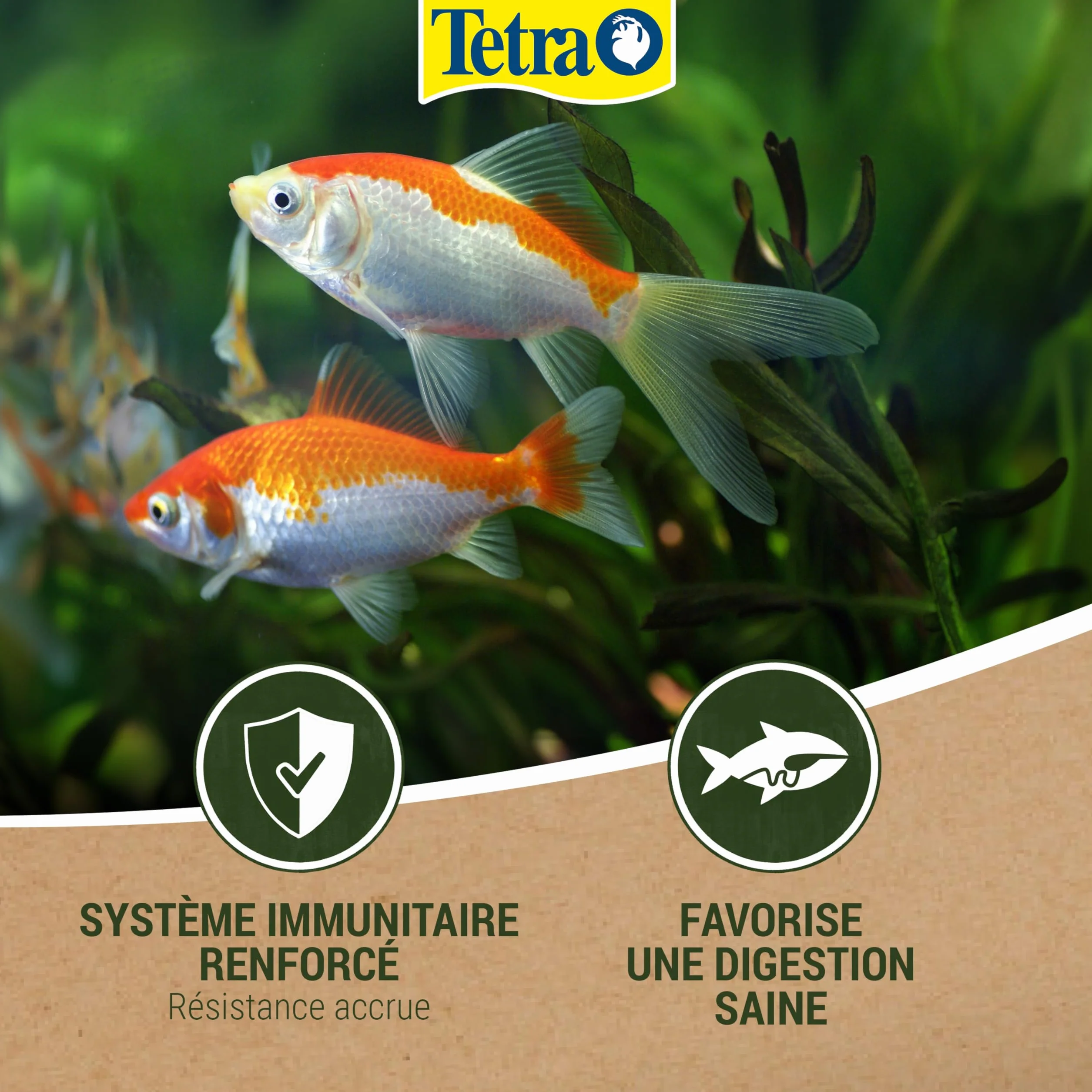Tetra Pond Variety Sticks 4 L Aliments en Stick pour Poissons de Bassin Enrichis en Oligo-éléments Vitamines Caroténoïdes