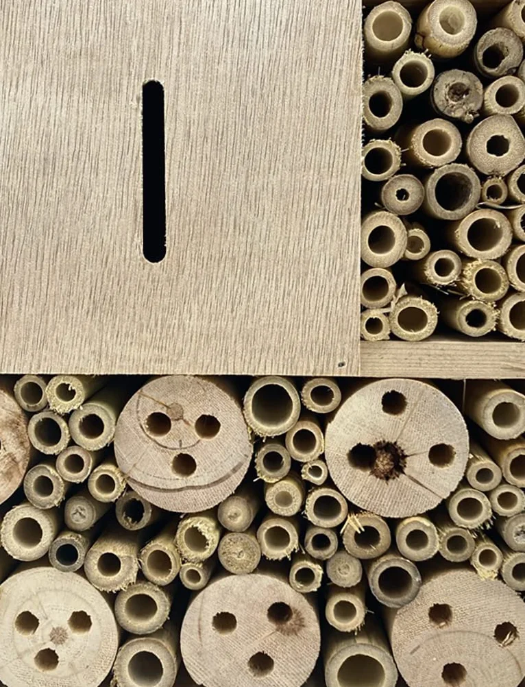 Hôtel à Insectes