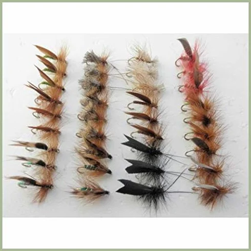 Mouche à Truite Sedge, Lot de 36, 12 Modèles, Taille 10/12, Mouche Sèche pour la Pêche SF5Y